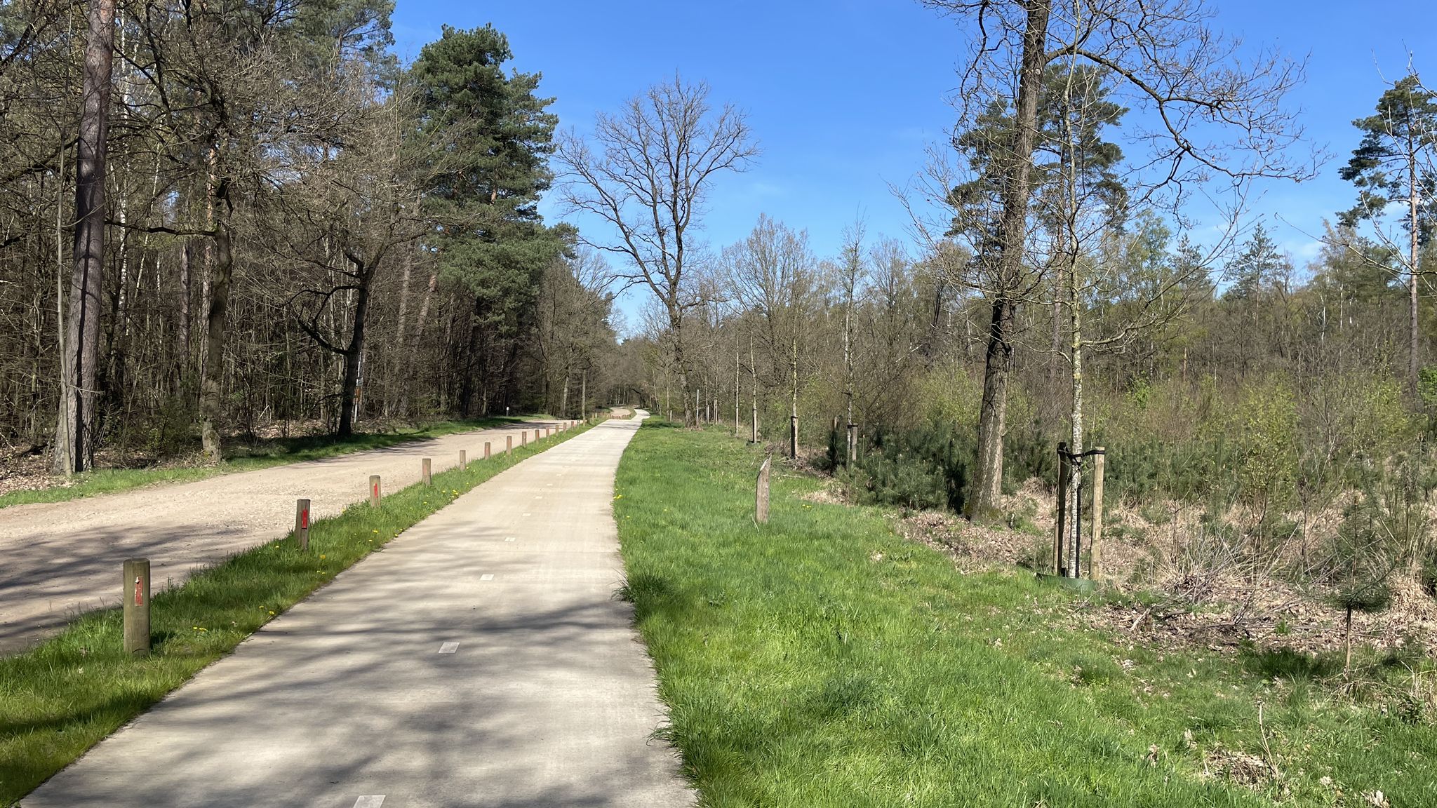 Radweg im Luzenkamp