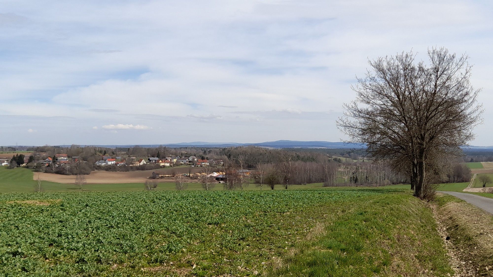 Fernblick