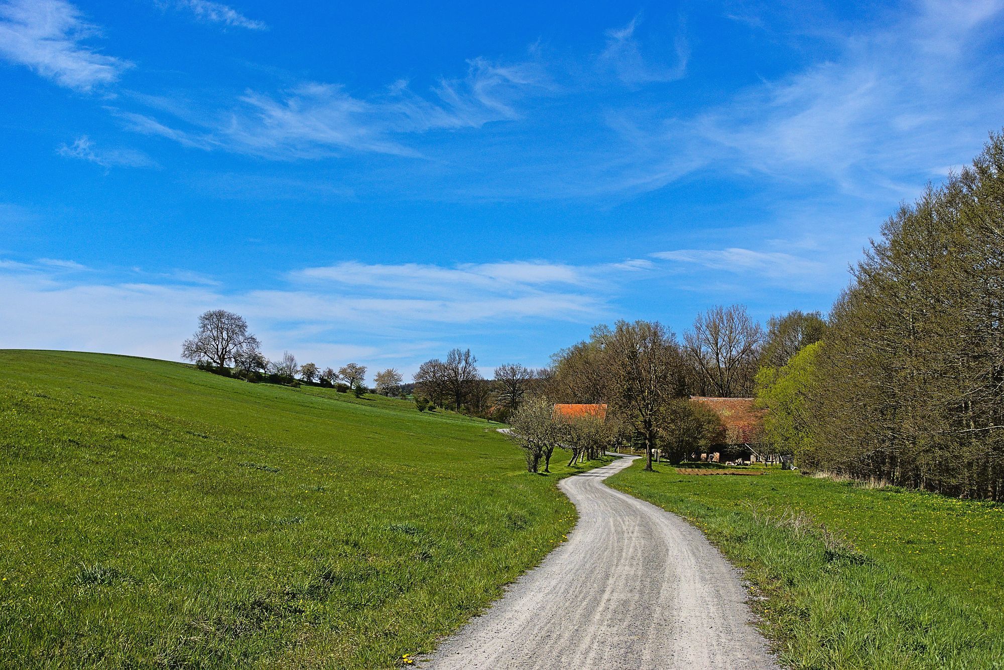 Malerische Radwegführung entlang der Rodach