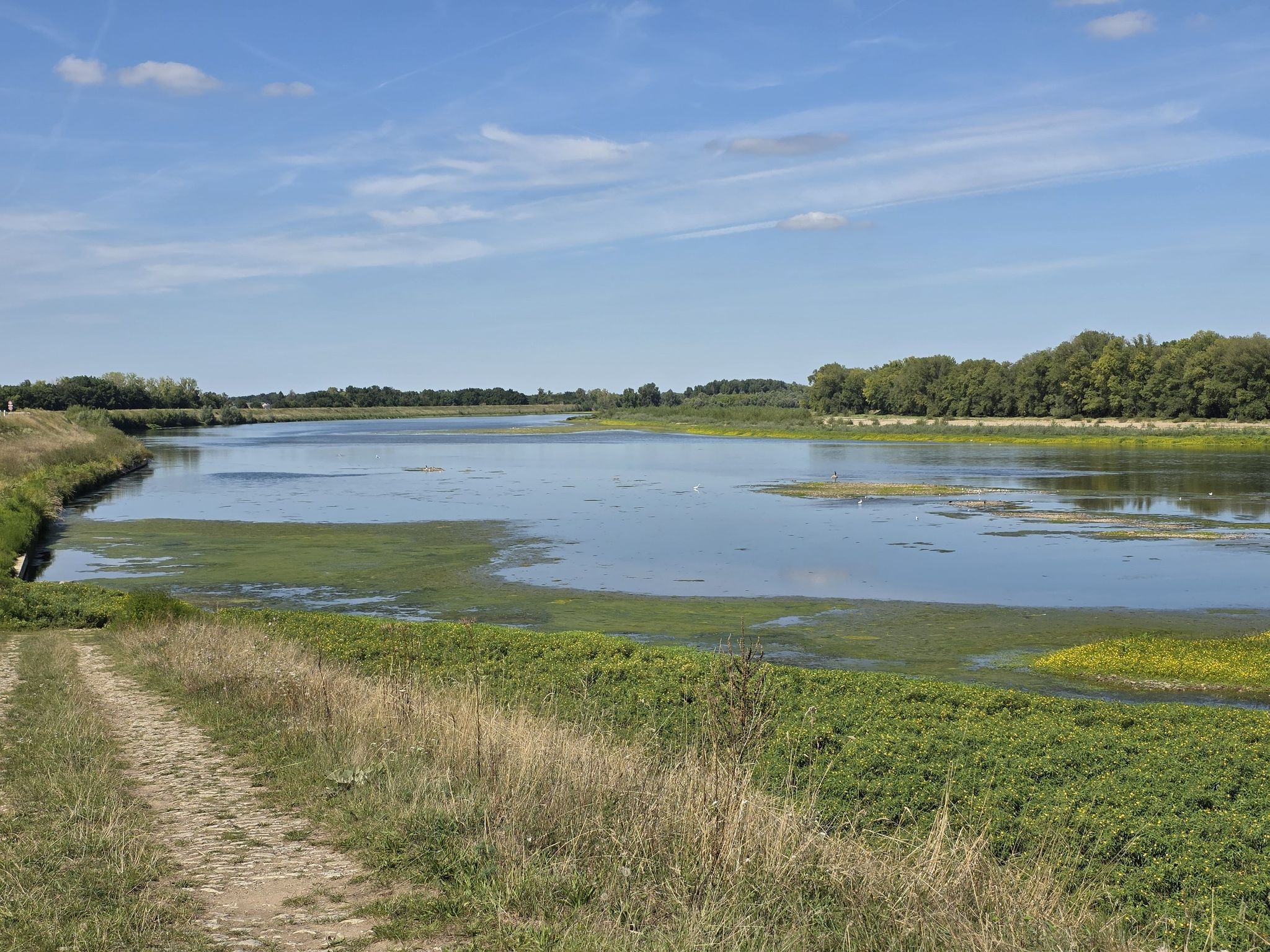 Les méandres de la Loire à GUILLY