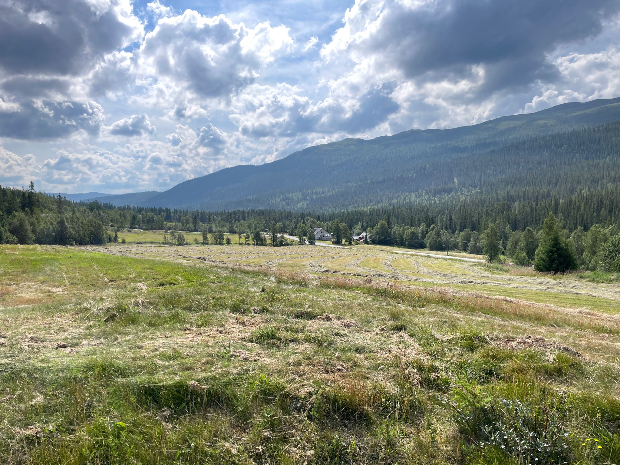 Blick zurück Richtung Austbygde