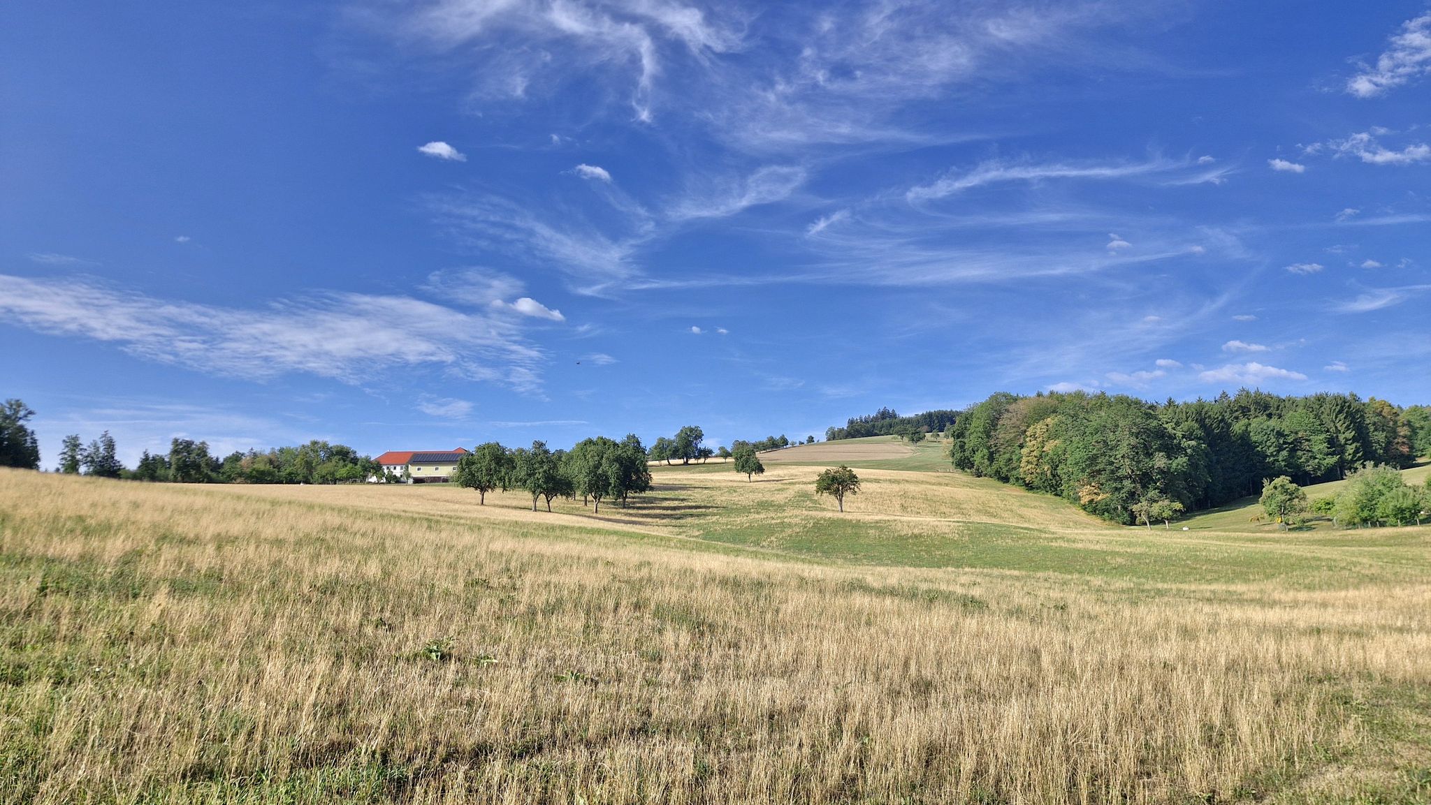Richtung Stockerkogl