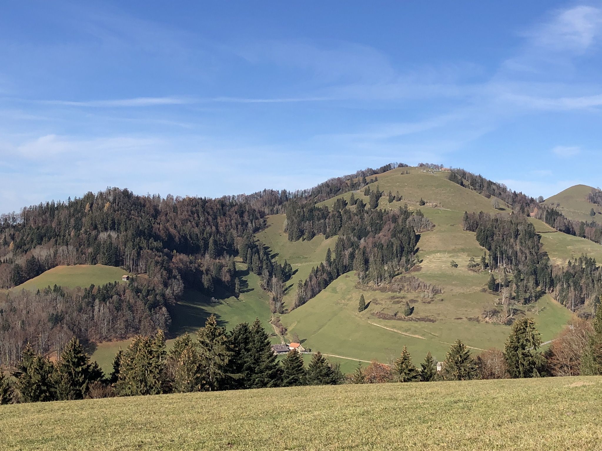 Blick hinüber zur Scheidegg