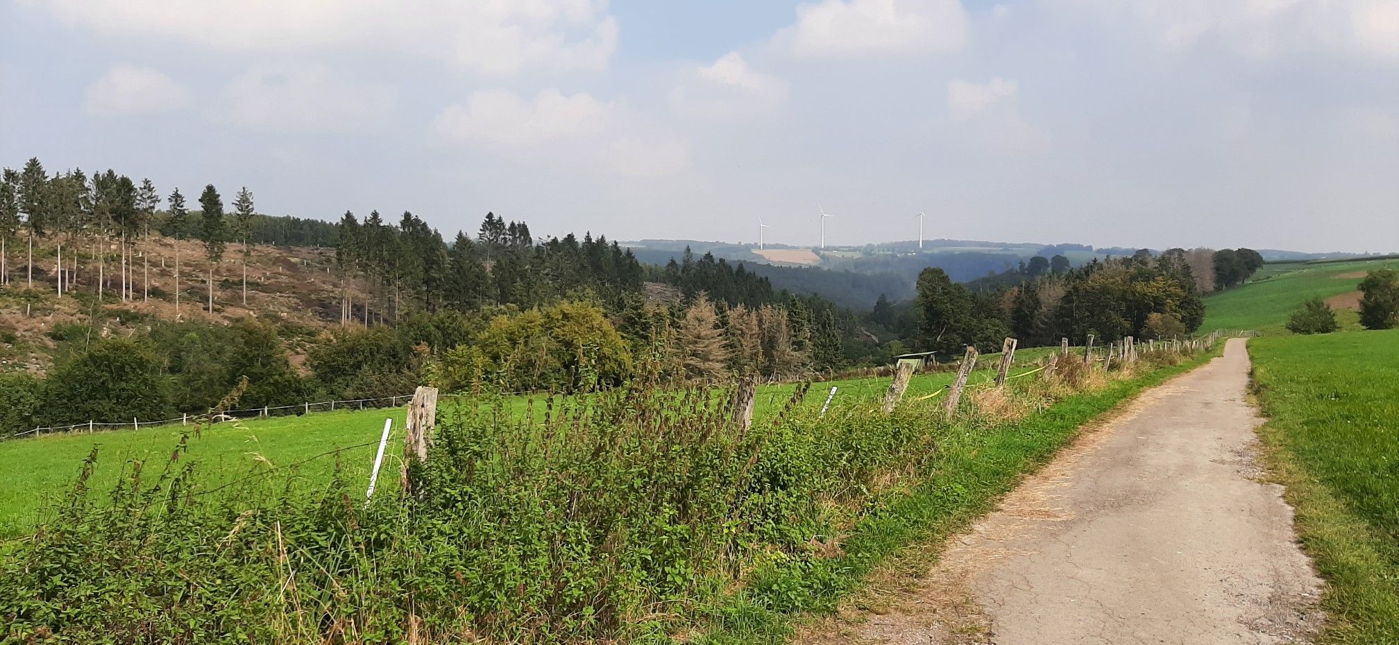 Ausblick Richtung Hürtgen