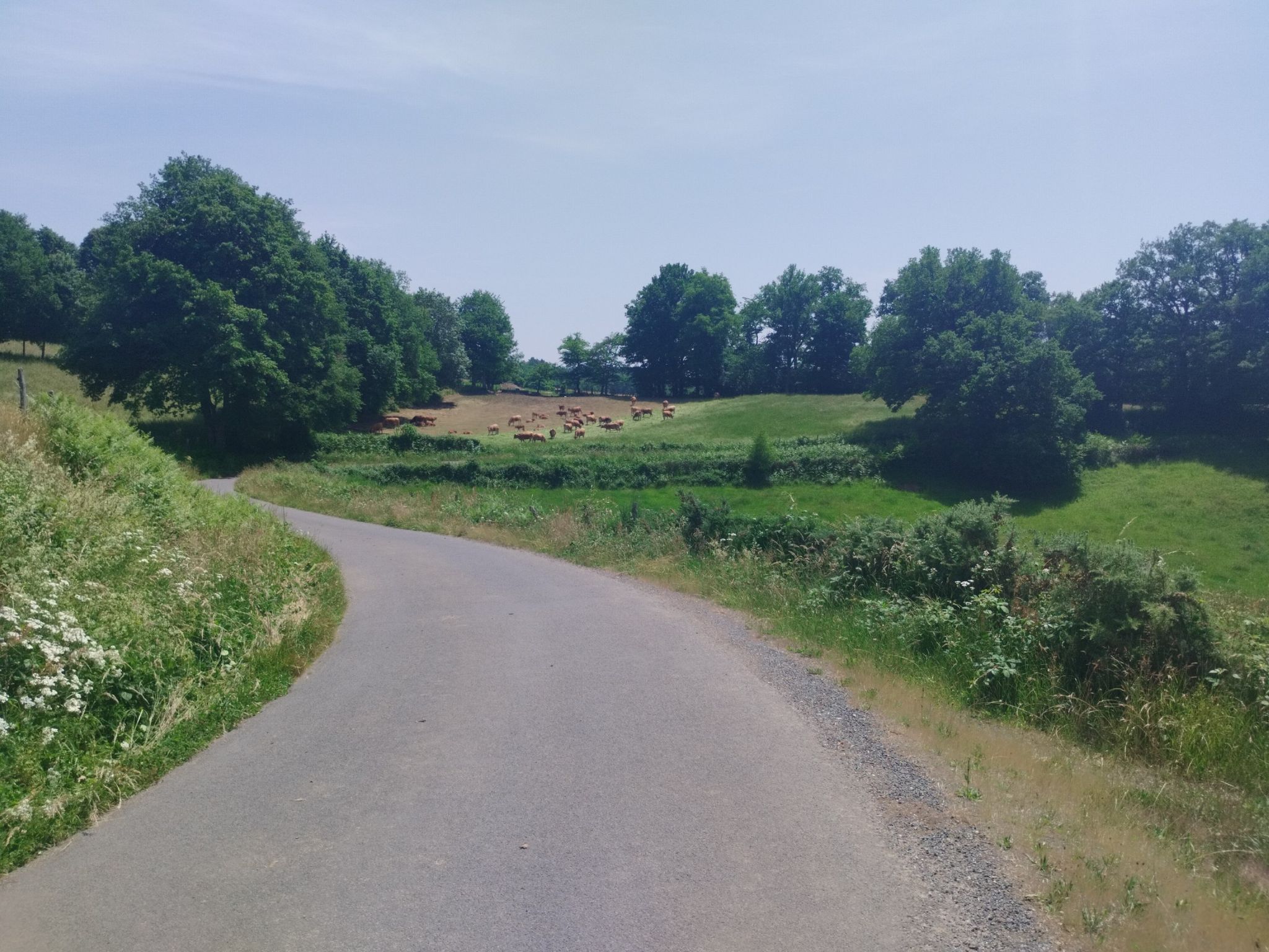 D362, kleine Straße, hügelige Landschaft