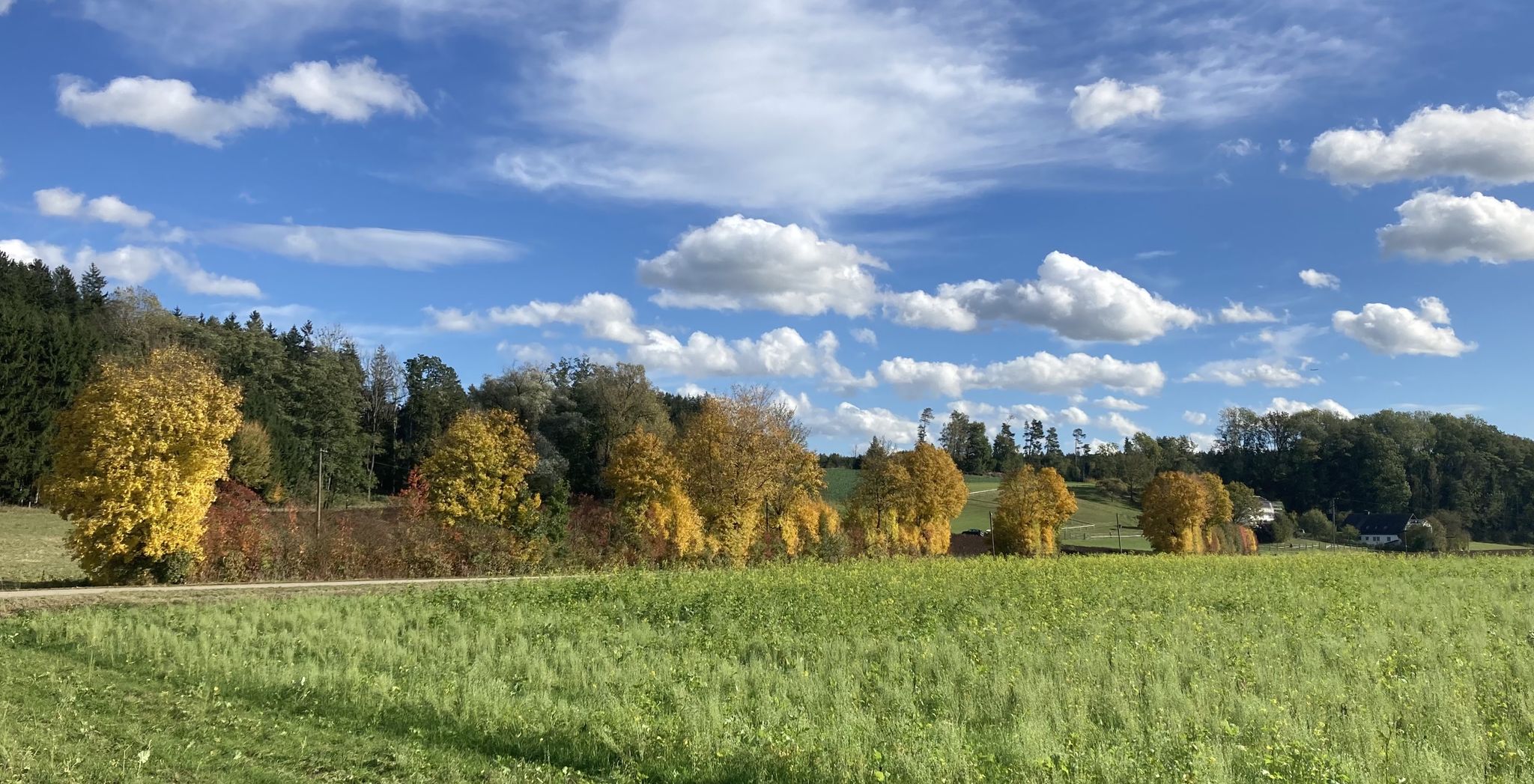 wegen solcher Momente lohnt sich jeder Kilometer 😍