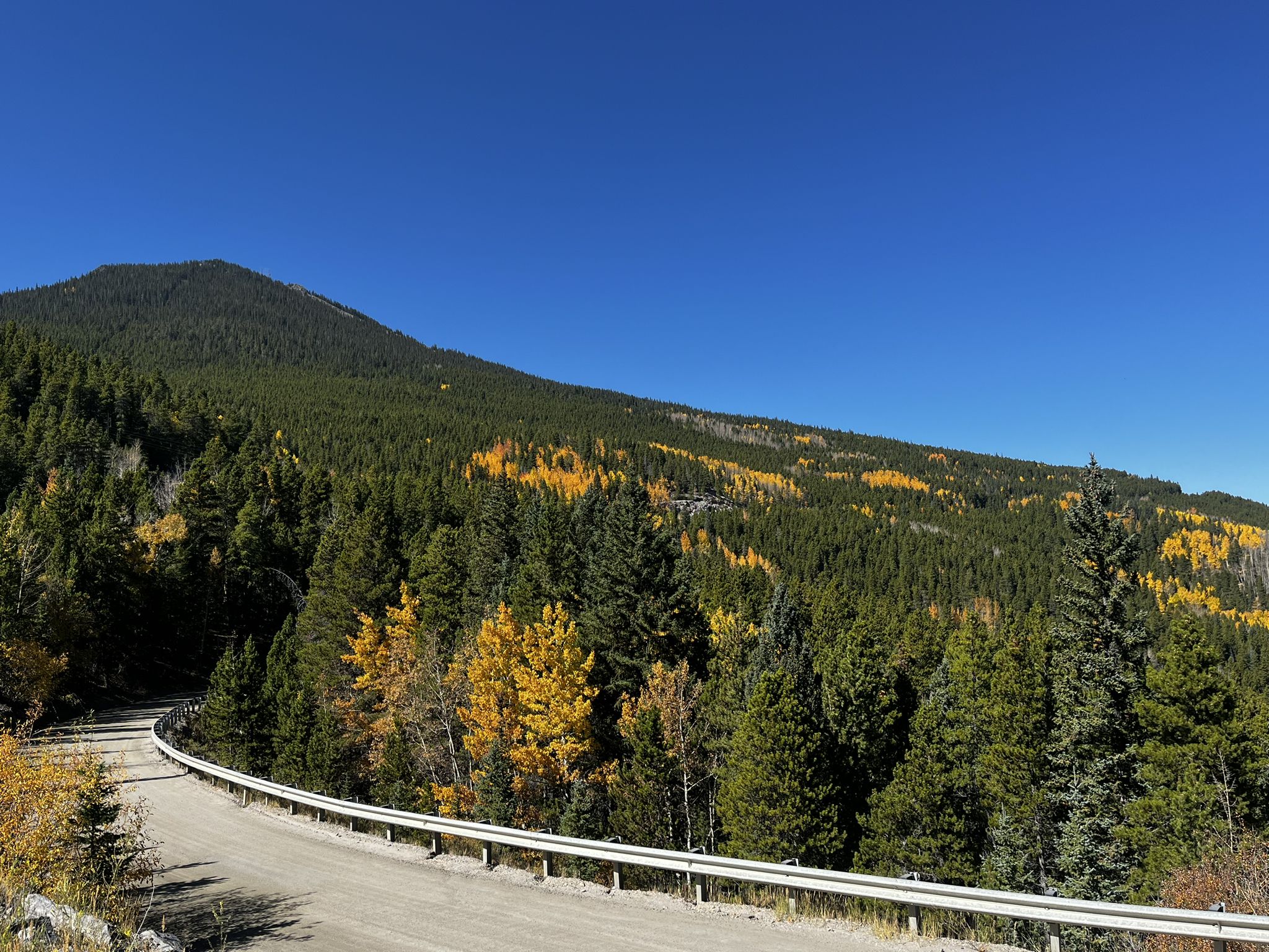 Winding dirt road beside a forested mountain with vibrant autumn foliage. - Idaho Springs – Mestaa'Ėhehe Pass Summit loop from Idaho Springs