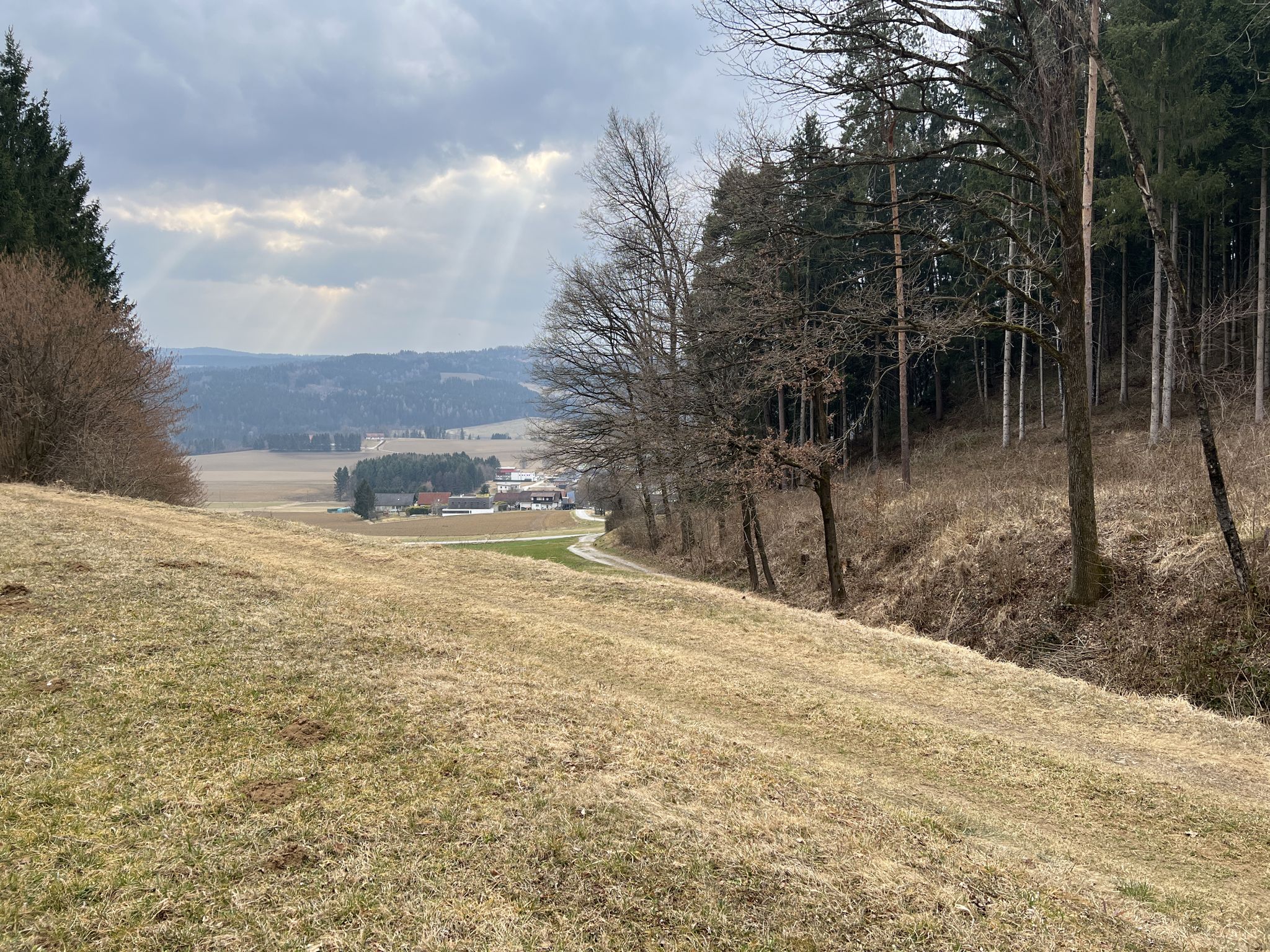 Blick nach Pichling 