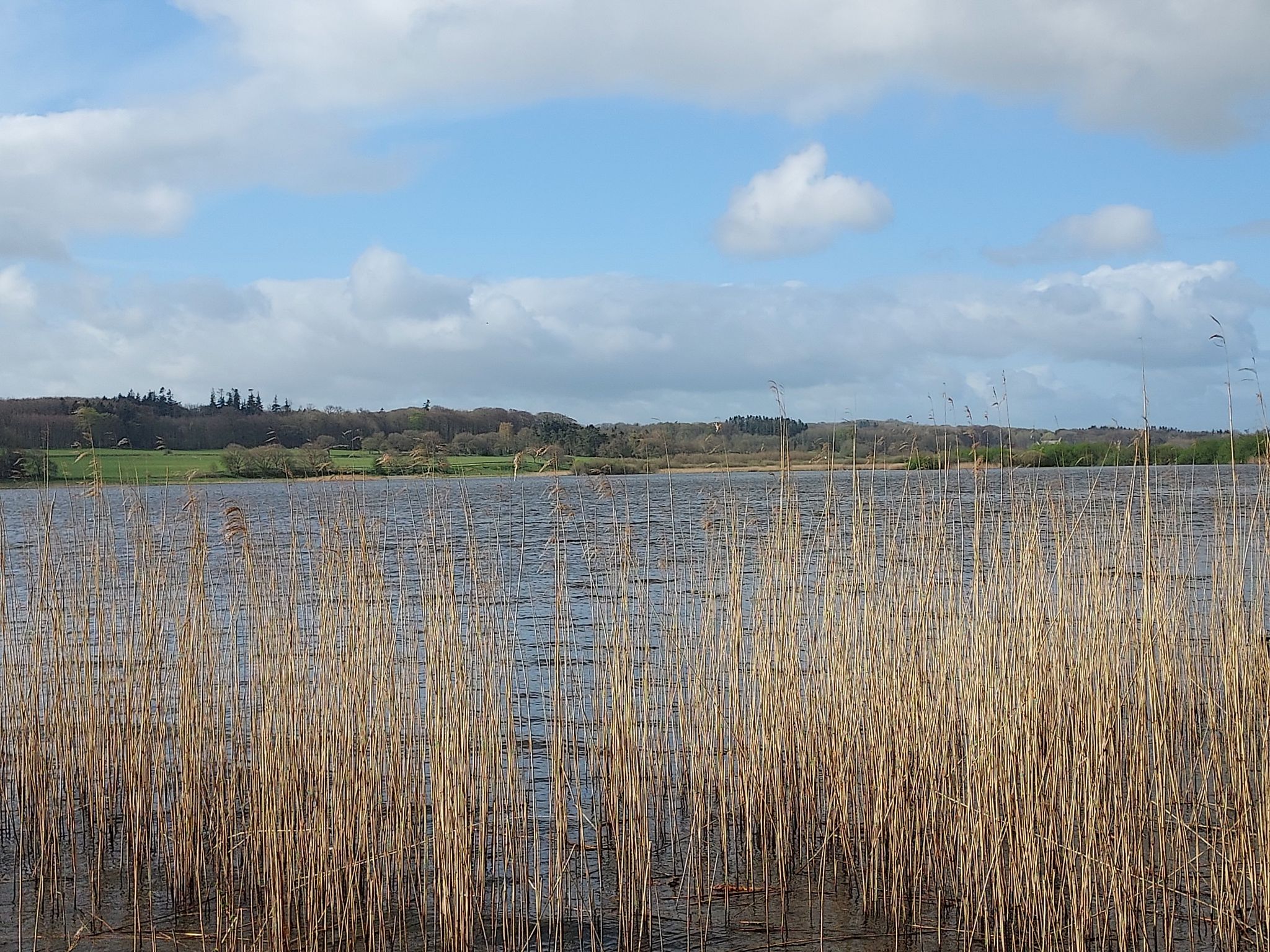 Brabrand See