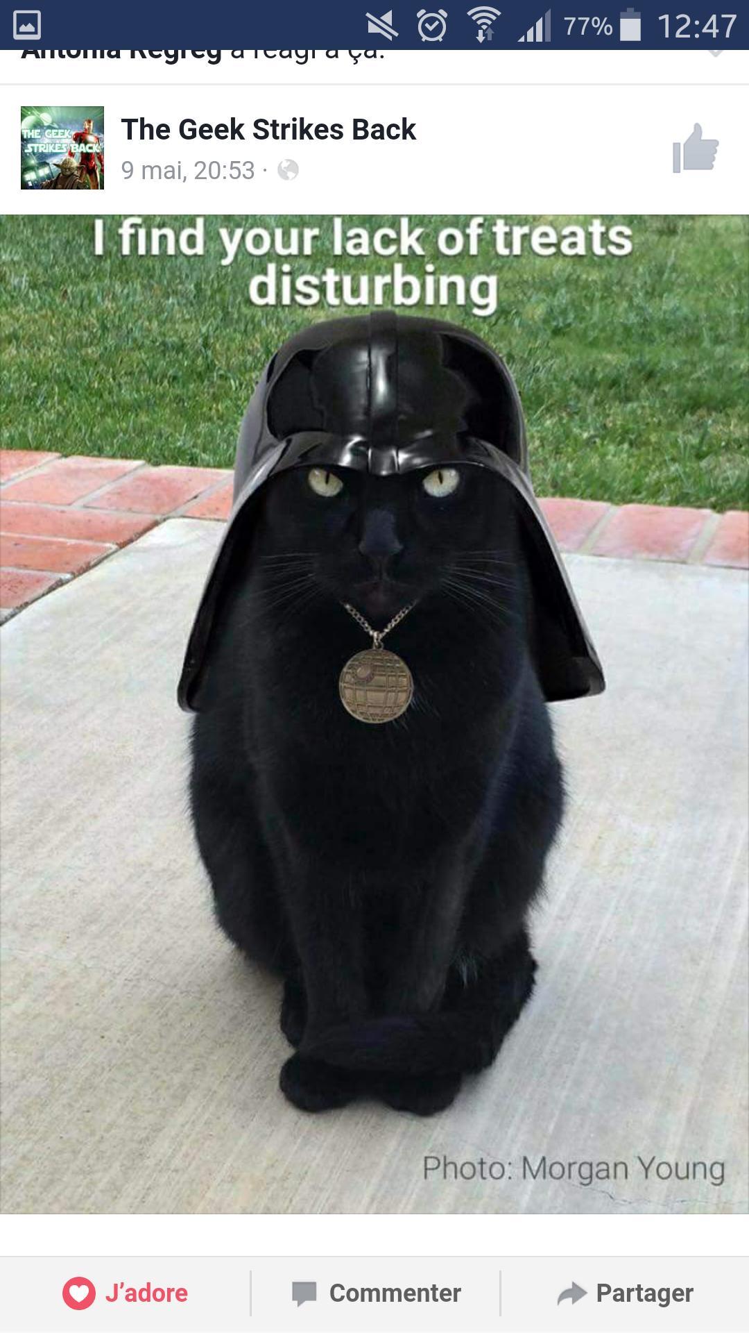 user avatar