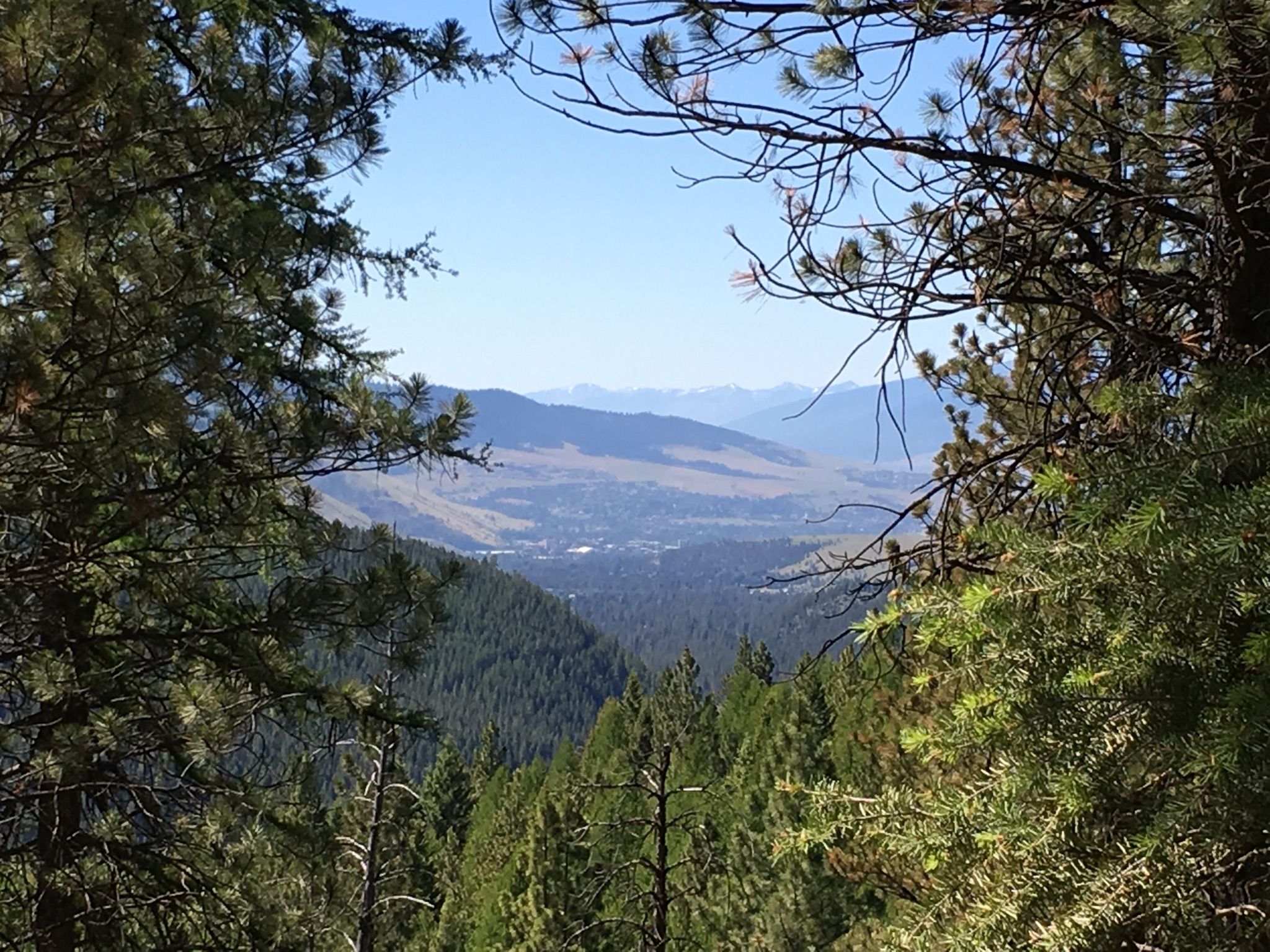 A scenic view of a valley and distant mountains framed by pine trees. - Mountainbike loop from Rattlesnake Trailhead