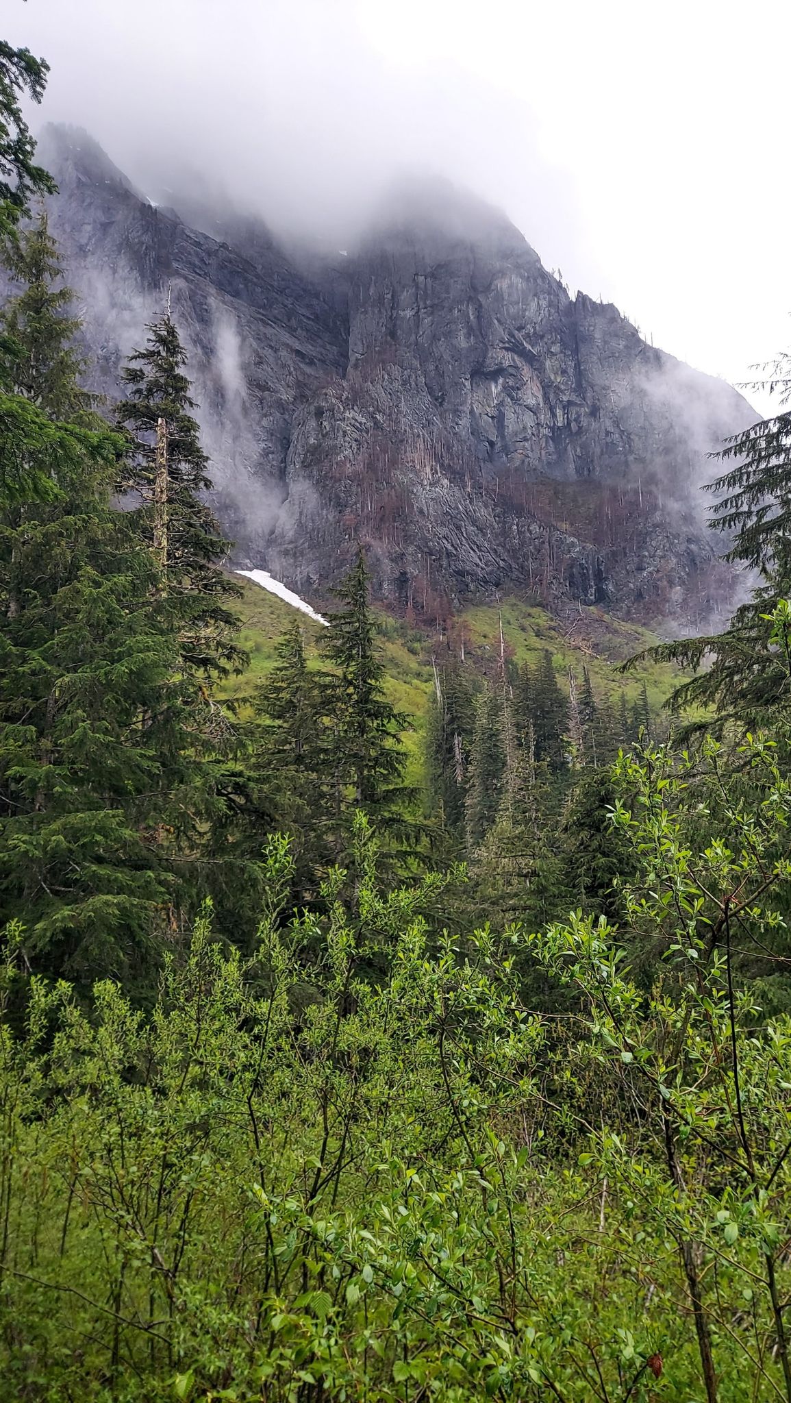 Misty clouds cling to a steep, rocky mountain face above a green forest. - Barclay Lake Trail