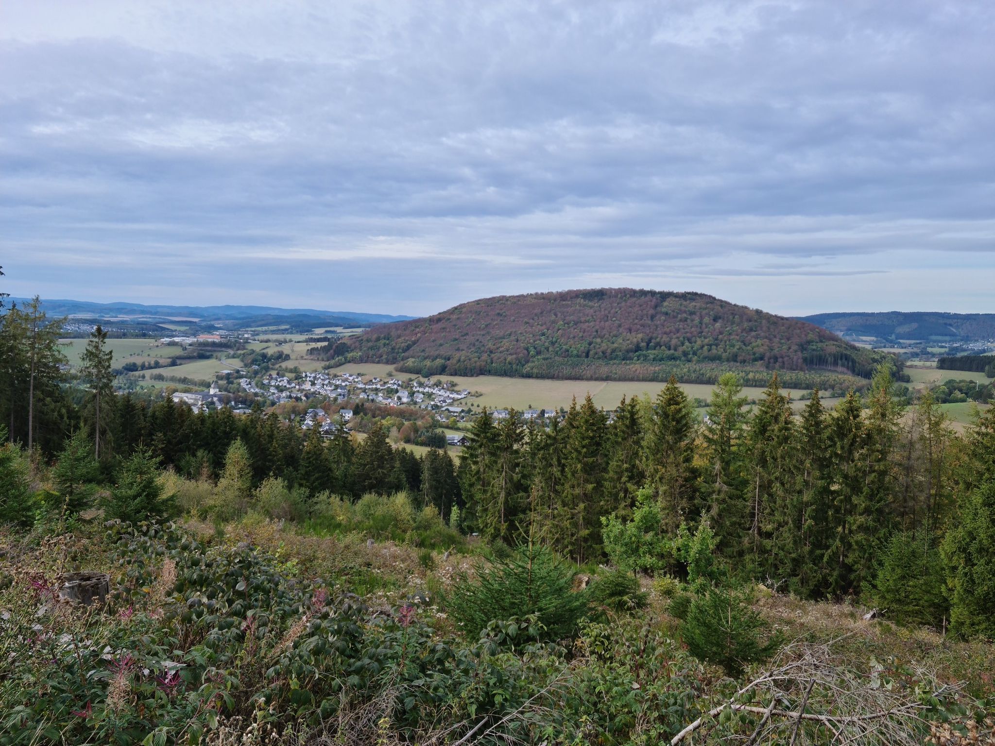 Blick auf Grafschaft mit Wilzenberg 