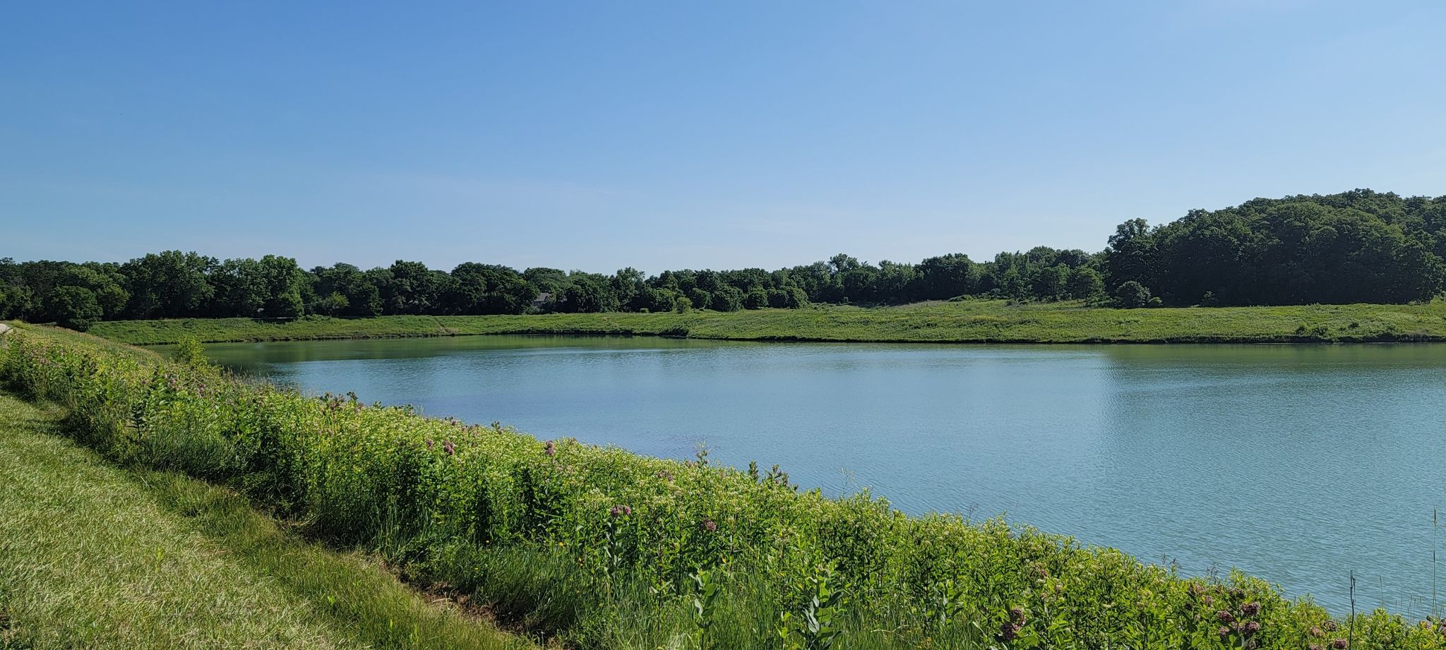 Calm lake surrounded by green bushes and trees under a clear blue sky. - Maple Lake and North Central DuPage Regional Trail Loop