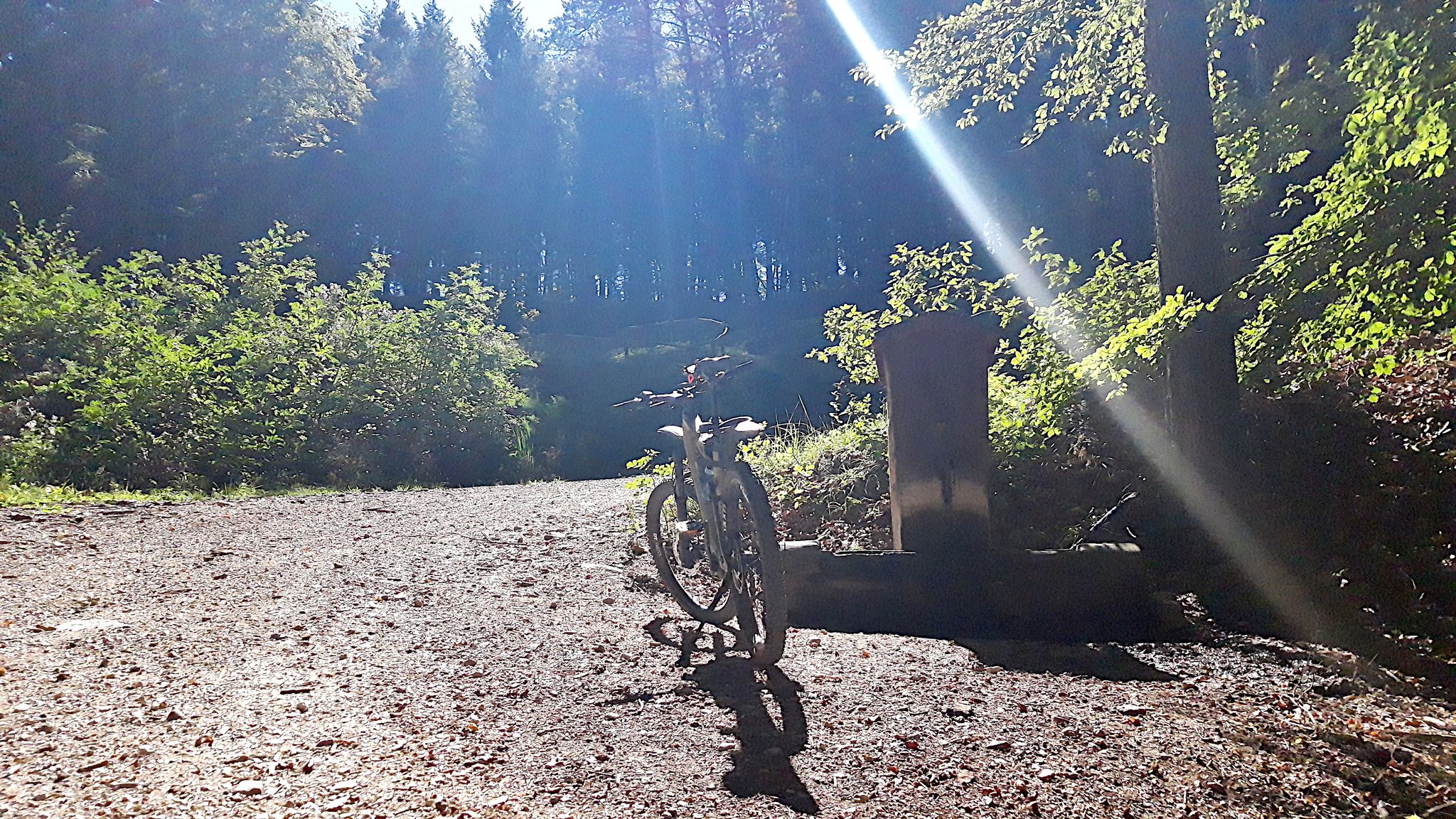 welcher schwalbe reifen mtb Pneu VTTAE arrière Eddy Current Super Gravity en Addix Soft Trek Crockett 5 Disc best-trends-start Farbe:oliv