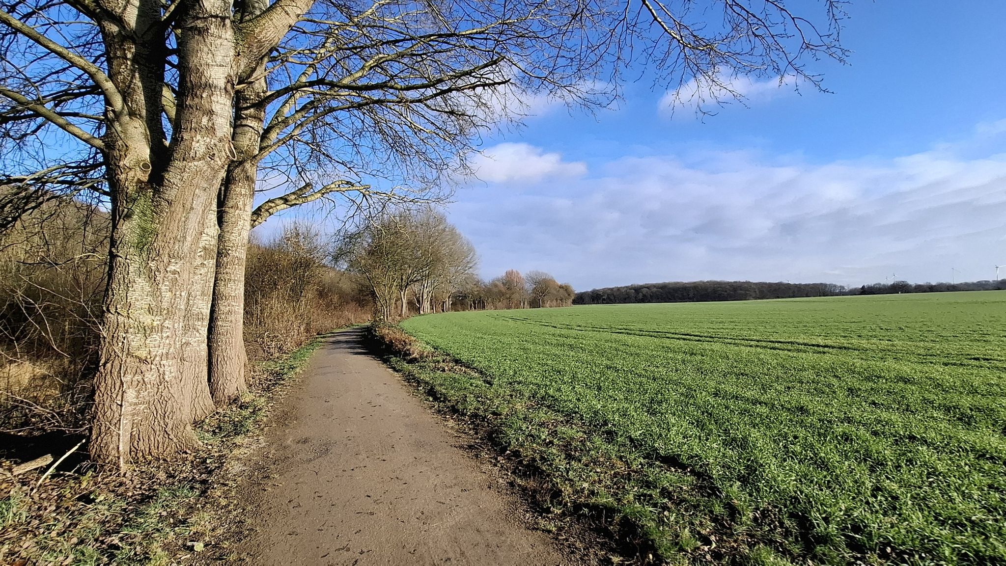 Werseradweg