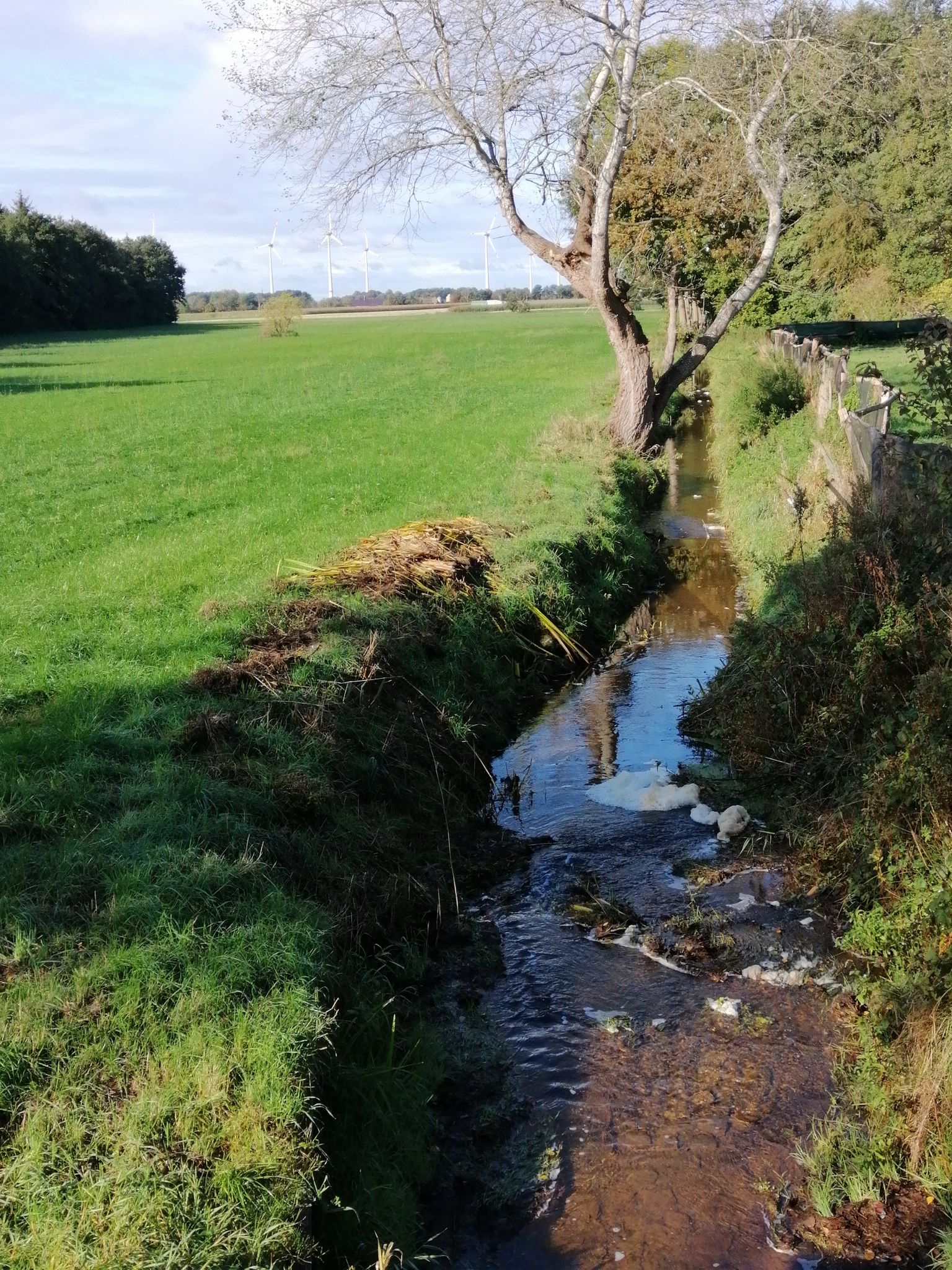 Aue (Lühe) im Quellgebiet bei Ahrensmoor West