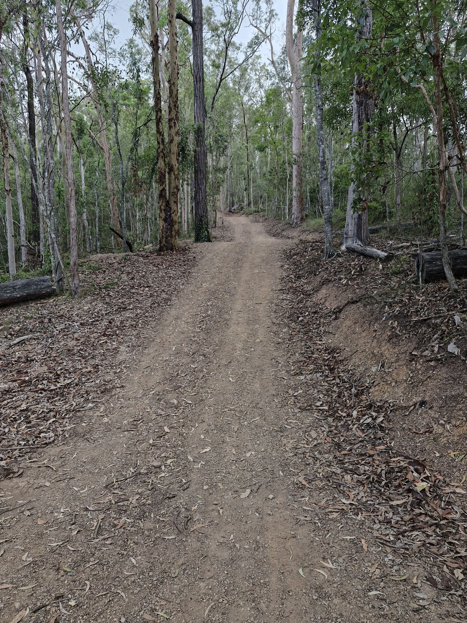 good undulating, climbing workout