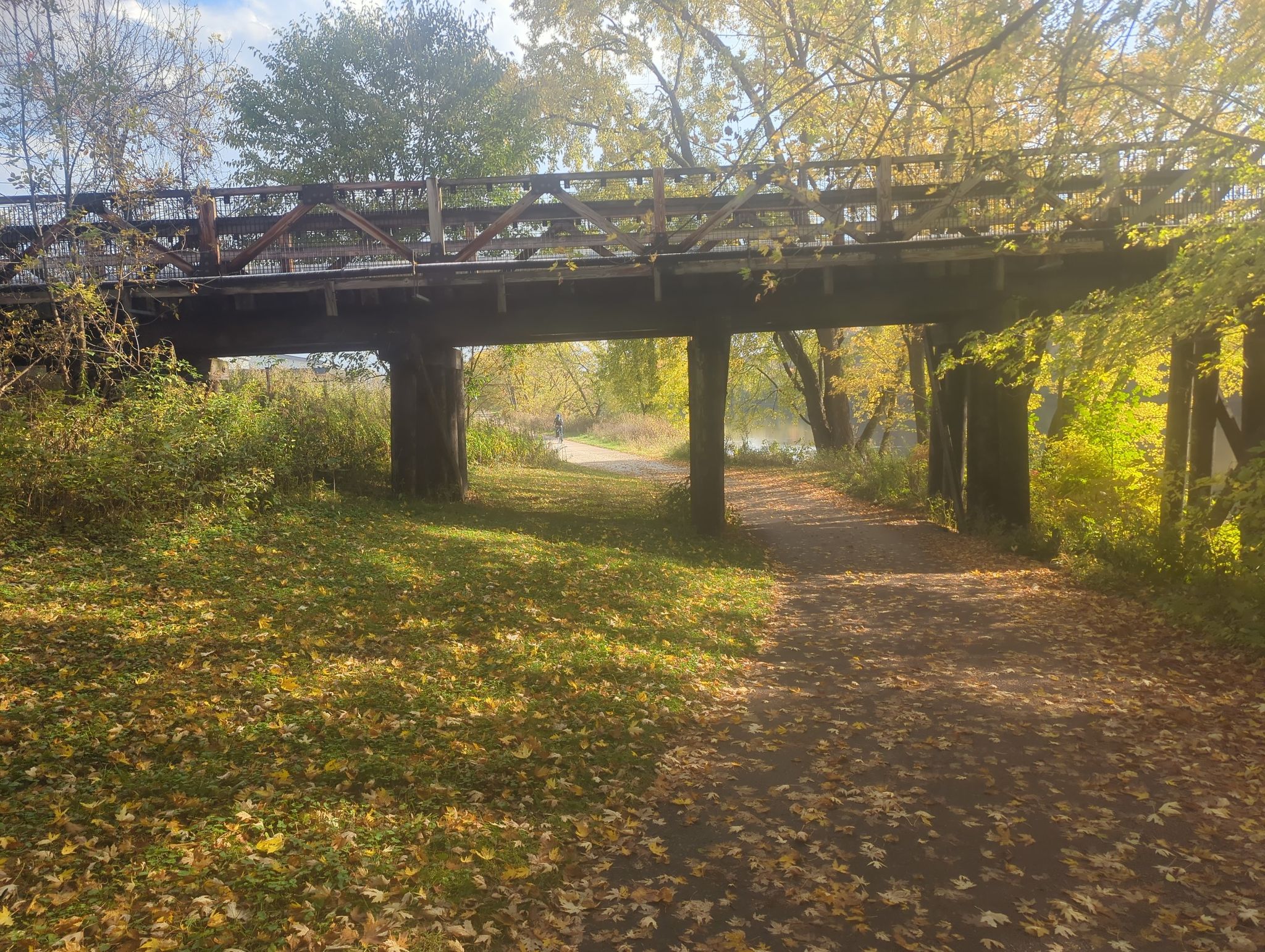 Trail under the bridge