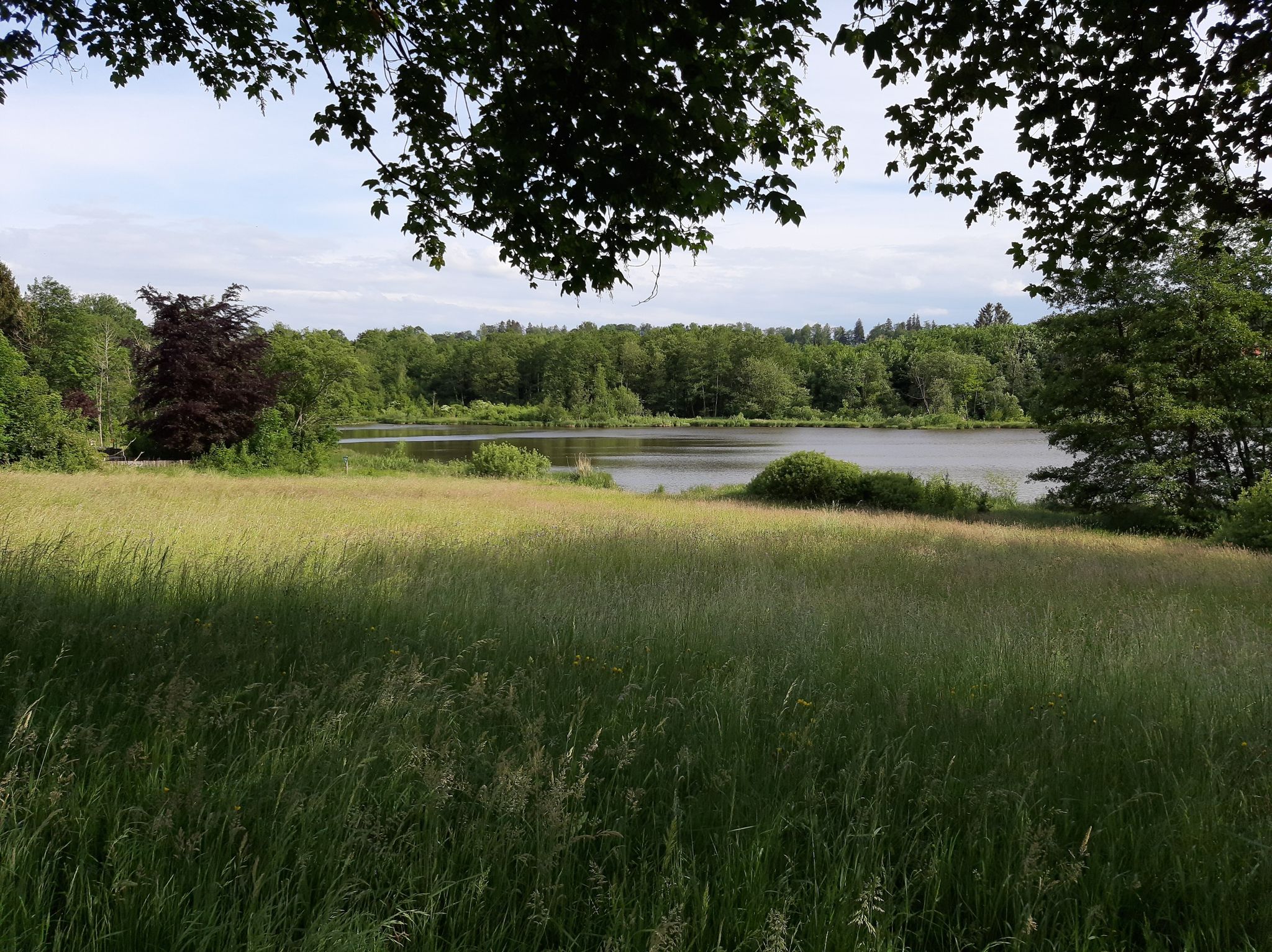 Repsweiher 