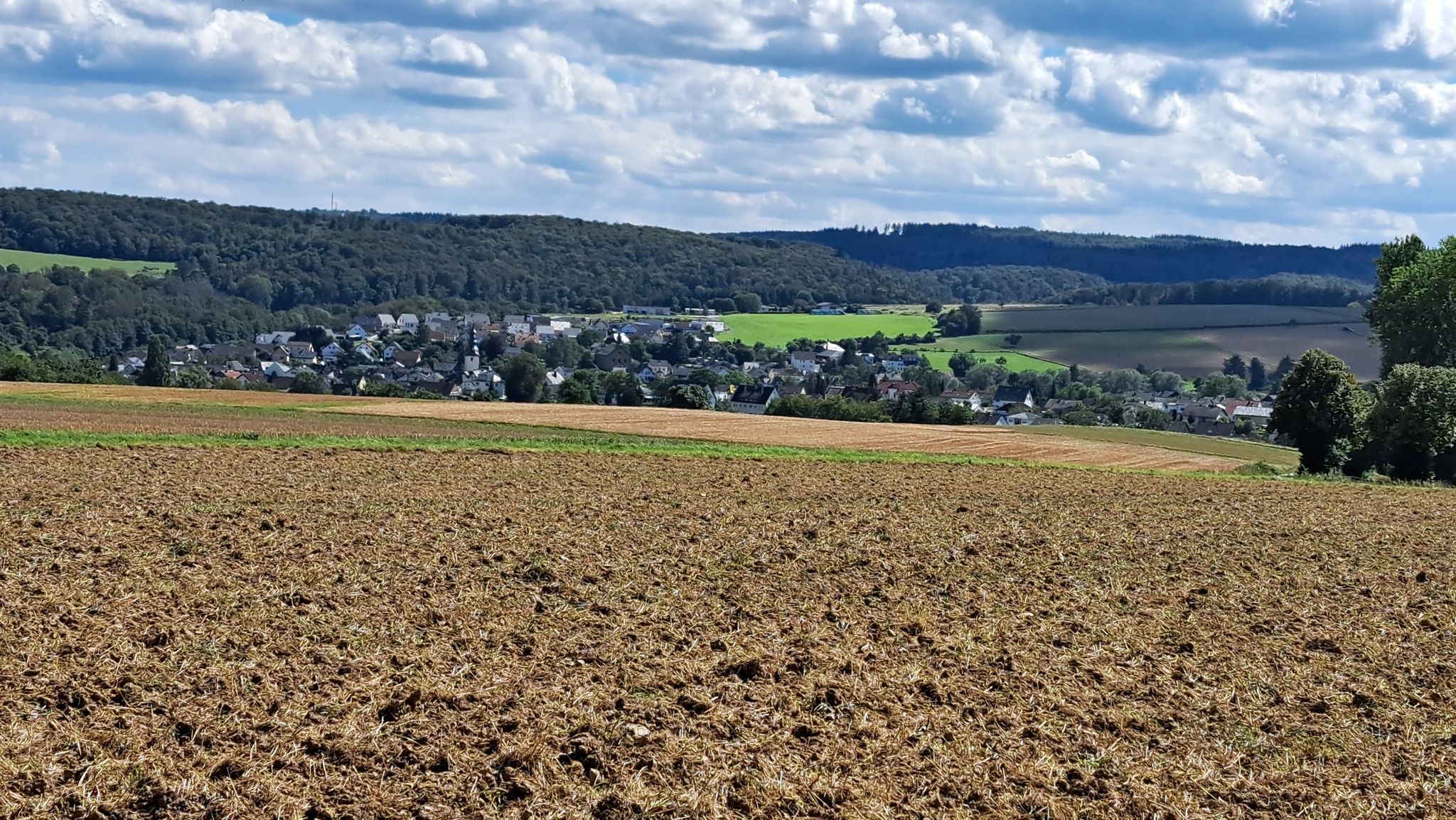 Blick auf Laufenselden