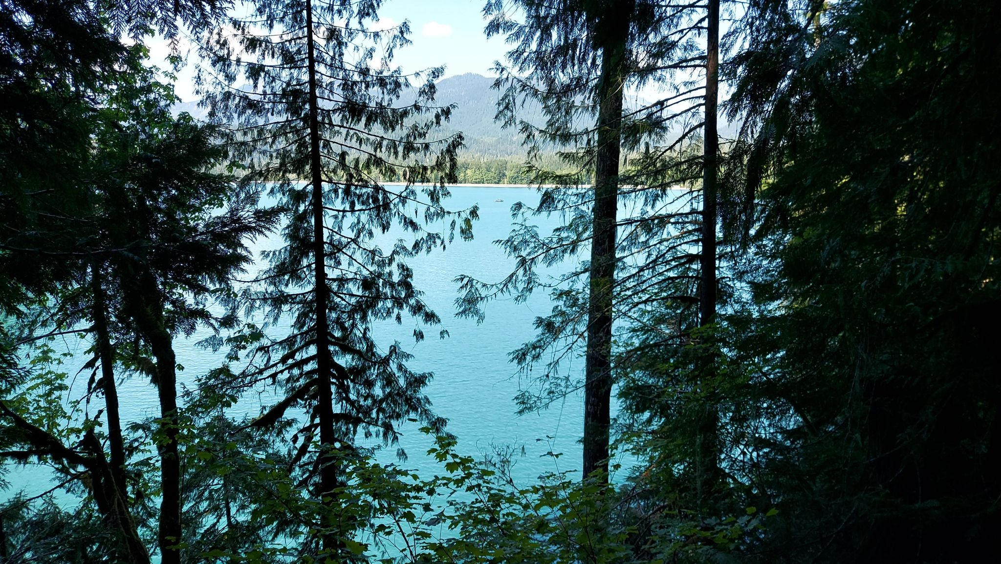 Bright blue lake seen through a dense forest of evergreen trees. - Anderson Point Trail loop from Baker Lake Fish Hatchery