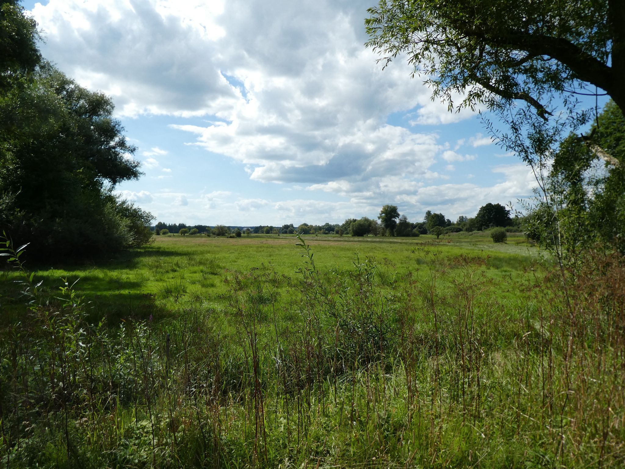 Naturschutzgebiet "Niedermoor südlich Niederleierndorf"