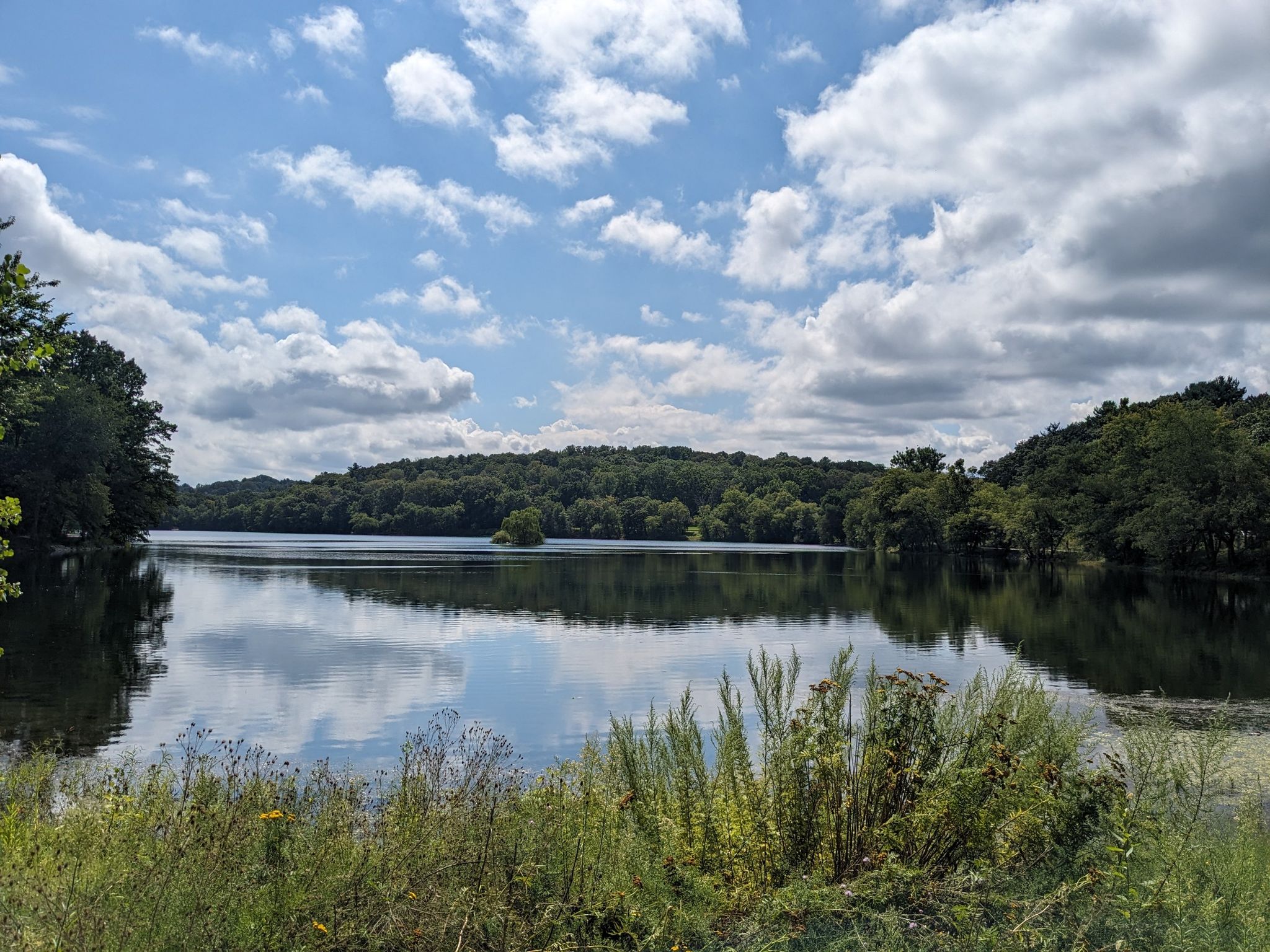 A calm lake reflecting a cloudy blue sky and green forested banks. - Olmstead Park & Jamaica Pond loop