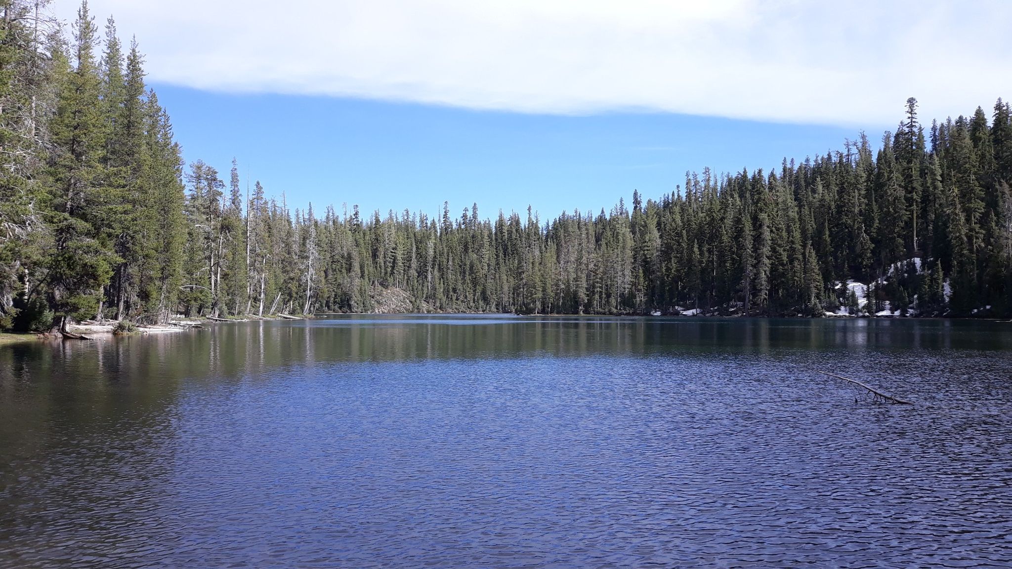 A calm lake surrounded by dense green forest under a blue sky with light clouds. - Echo Lake – Summit Lake loop from Lassen Volcanic National Park