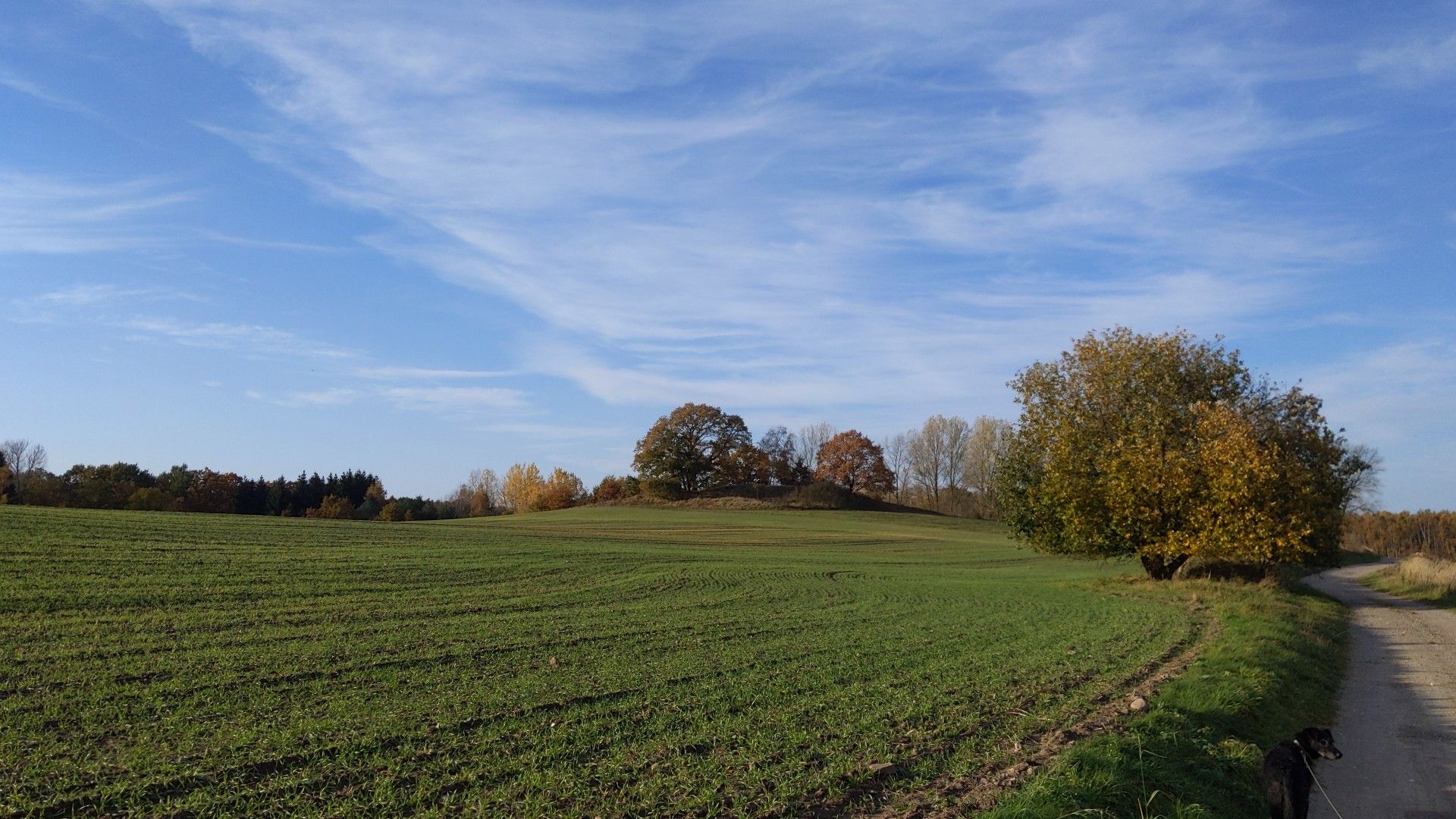 kurz hinter Neuburg