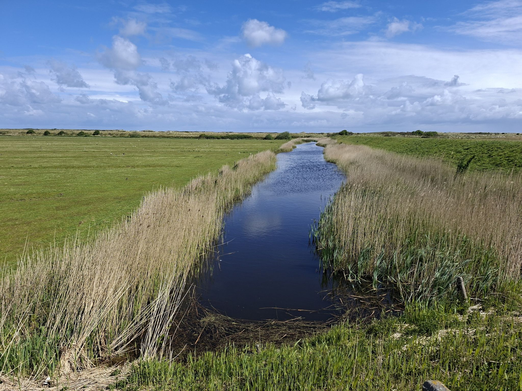 Ameland😍