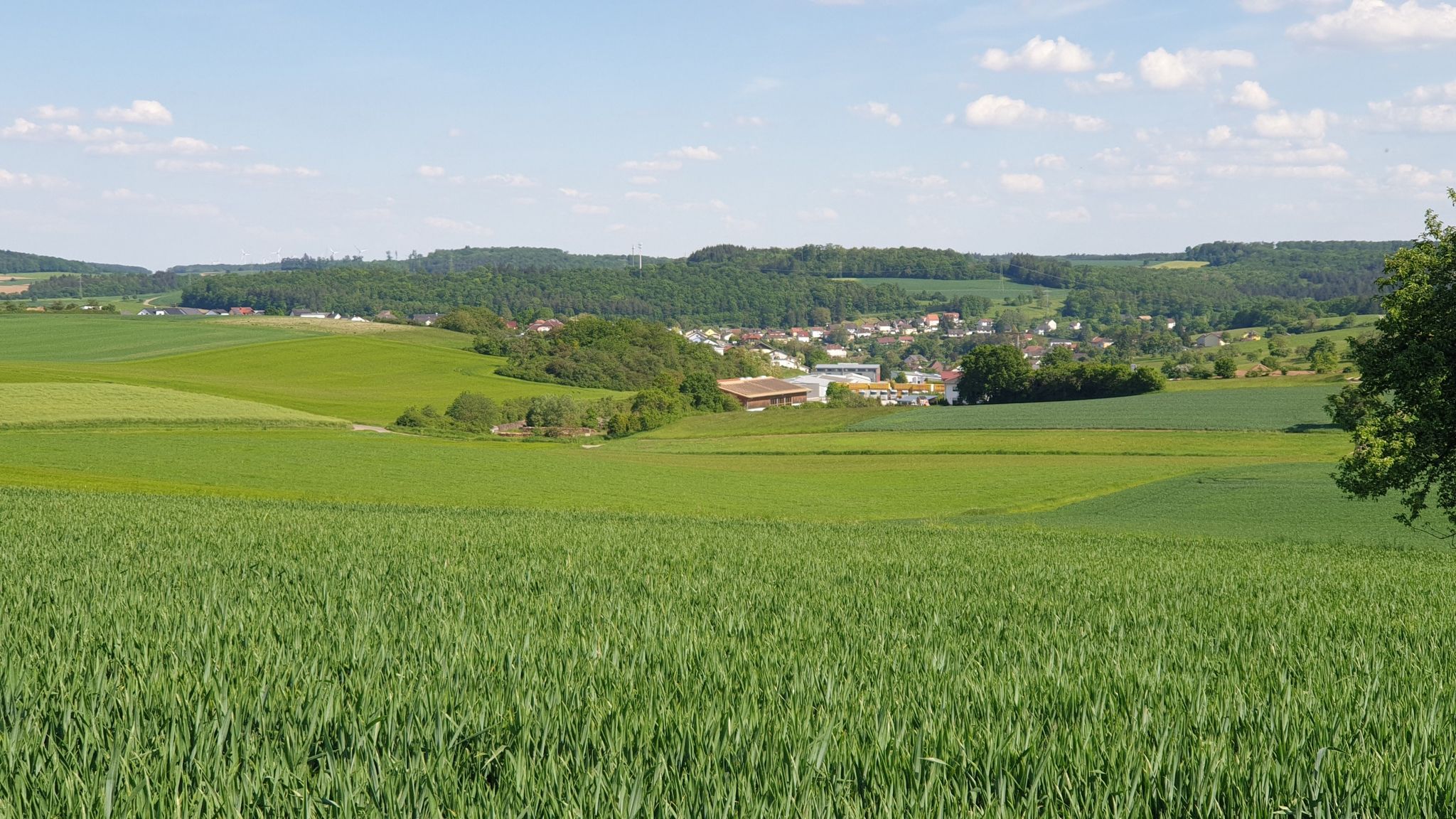 Blick auf Billigheim