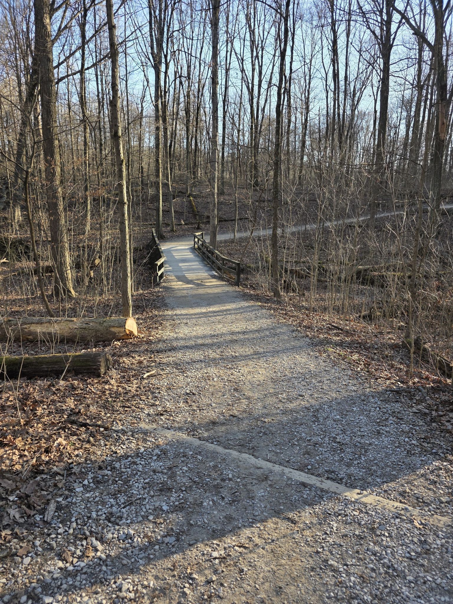 Gravel path through a bare forest leading to a wooden bridge on a sunny day. - Olentangy River loop from Big Meadows Picnic Area