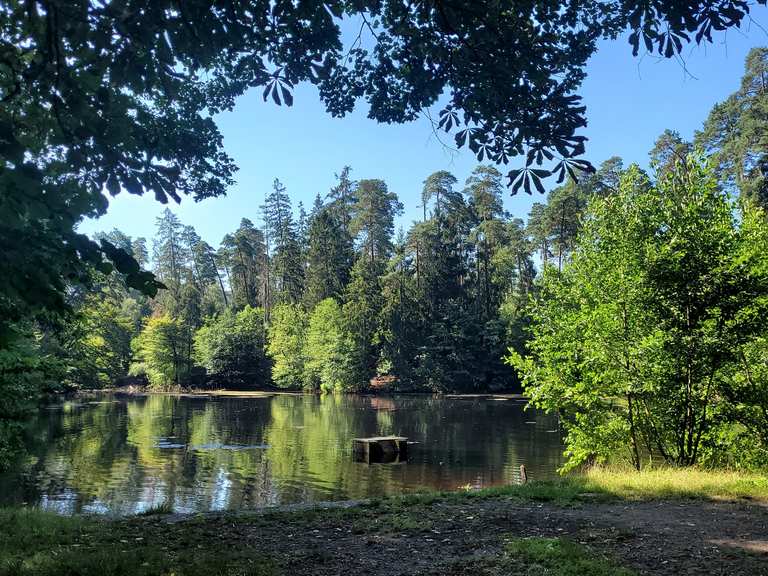 NRW Herrmannsdenkmal (Teutoburger Wald) hike Komoot