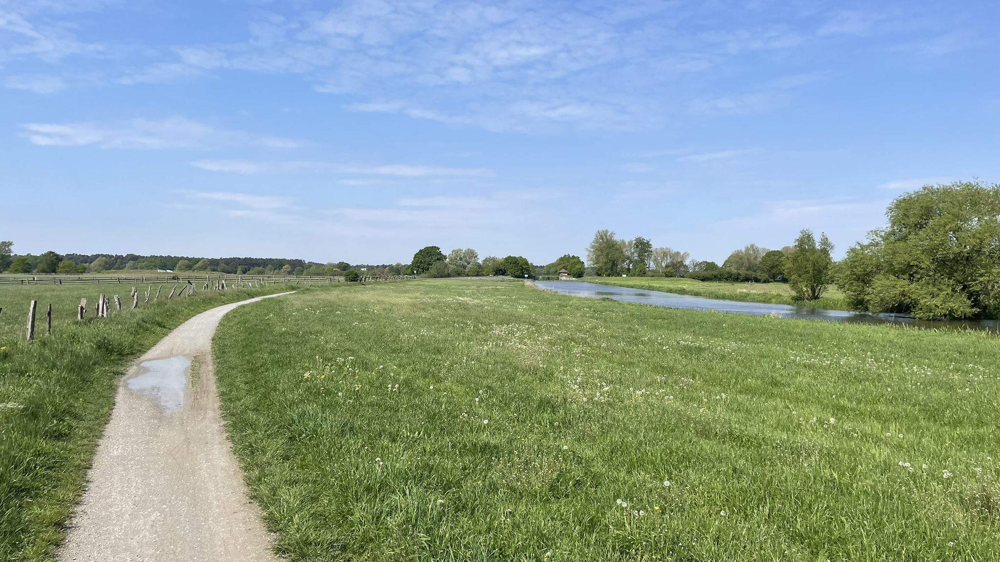 Die neu geführte Aller in Osterloh