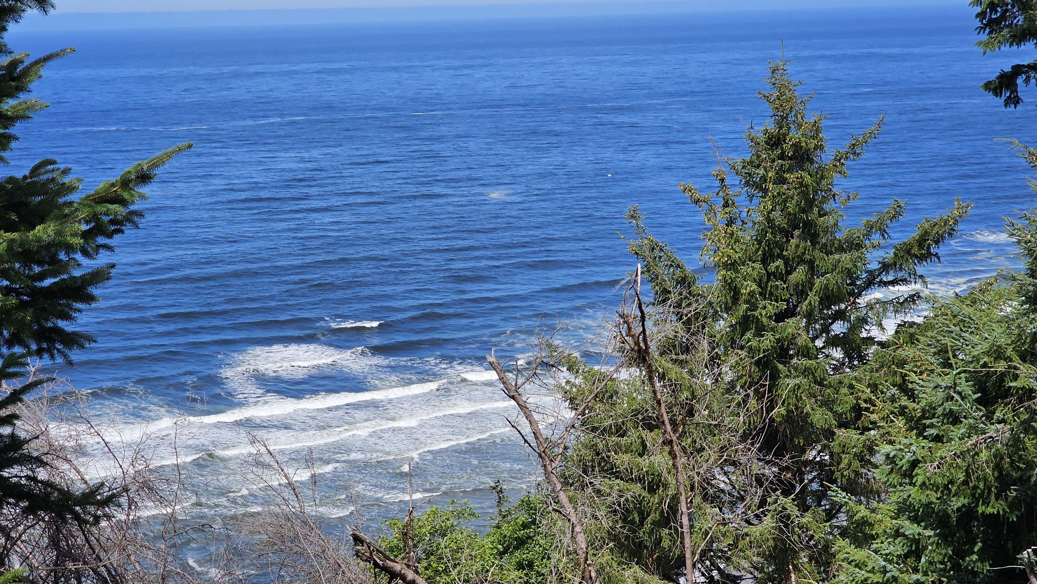 Bright blue ocean with white waves, viewed through evergreen tree branches. - Oceanside Beach – Netarts Bay Drive loop from Oceanside Beach State Recreation Site