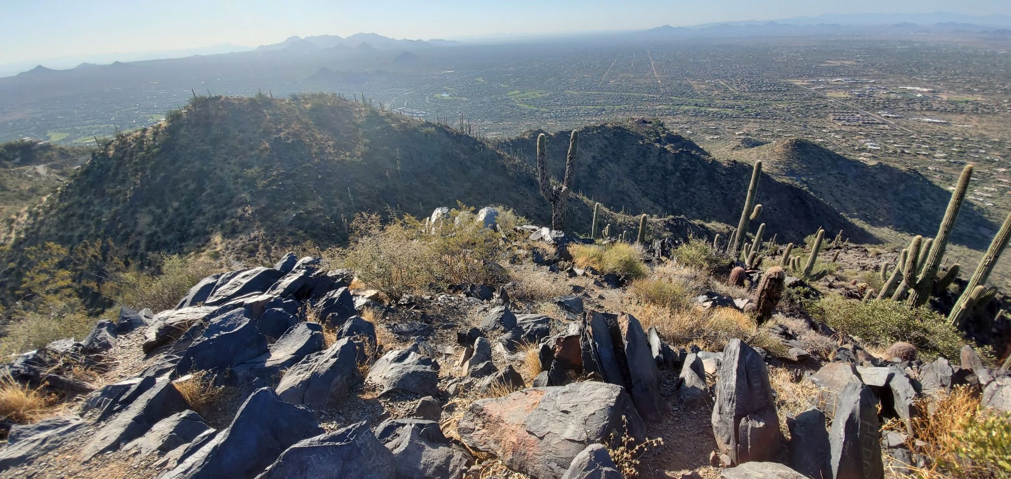 Sunny desert mountain peak with cacti overlooking a vast valley. - Black Mountain Trail