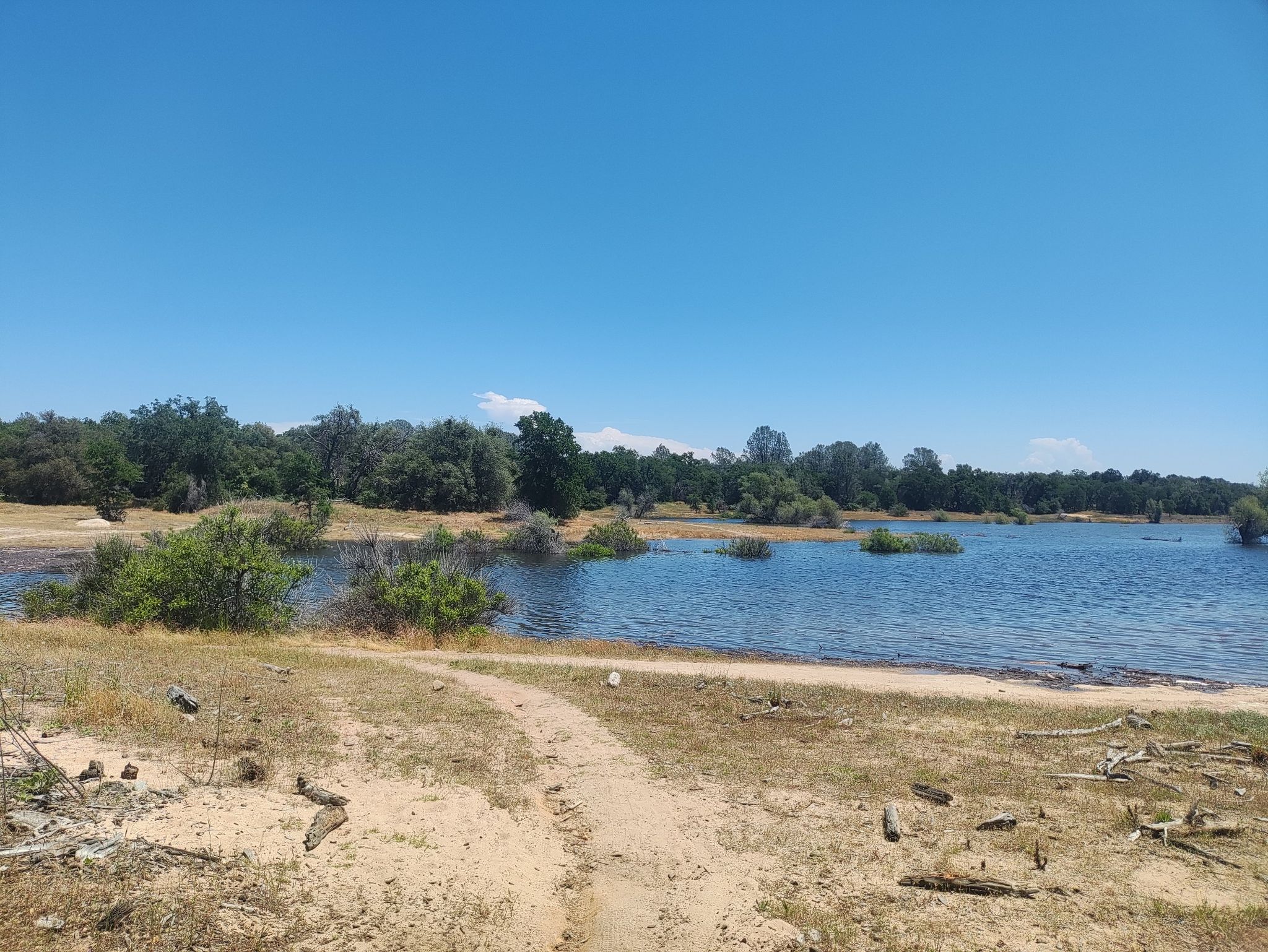 A dirt path leads to a sunny lake surrounded by trees and dry land. - Granite Bay – Doton's Point loop from Eureka before Douglas