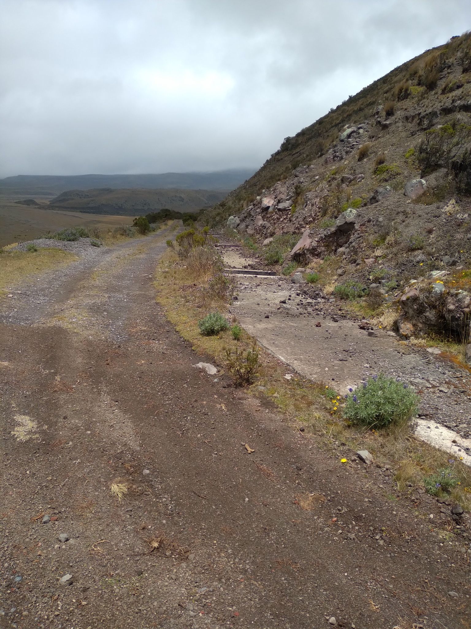Cotopaxi