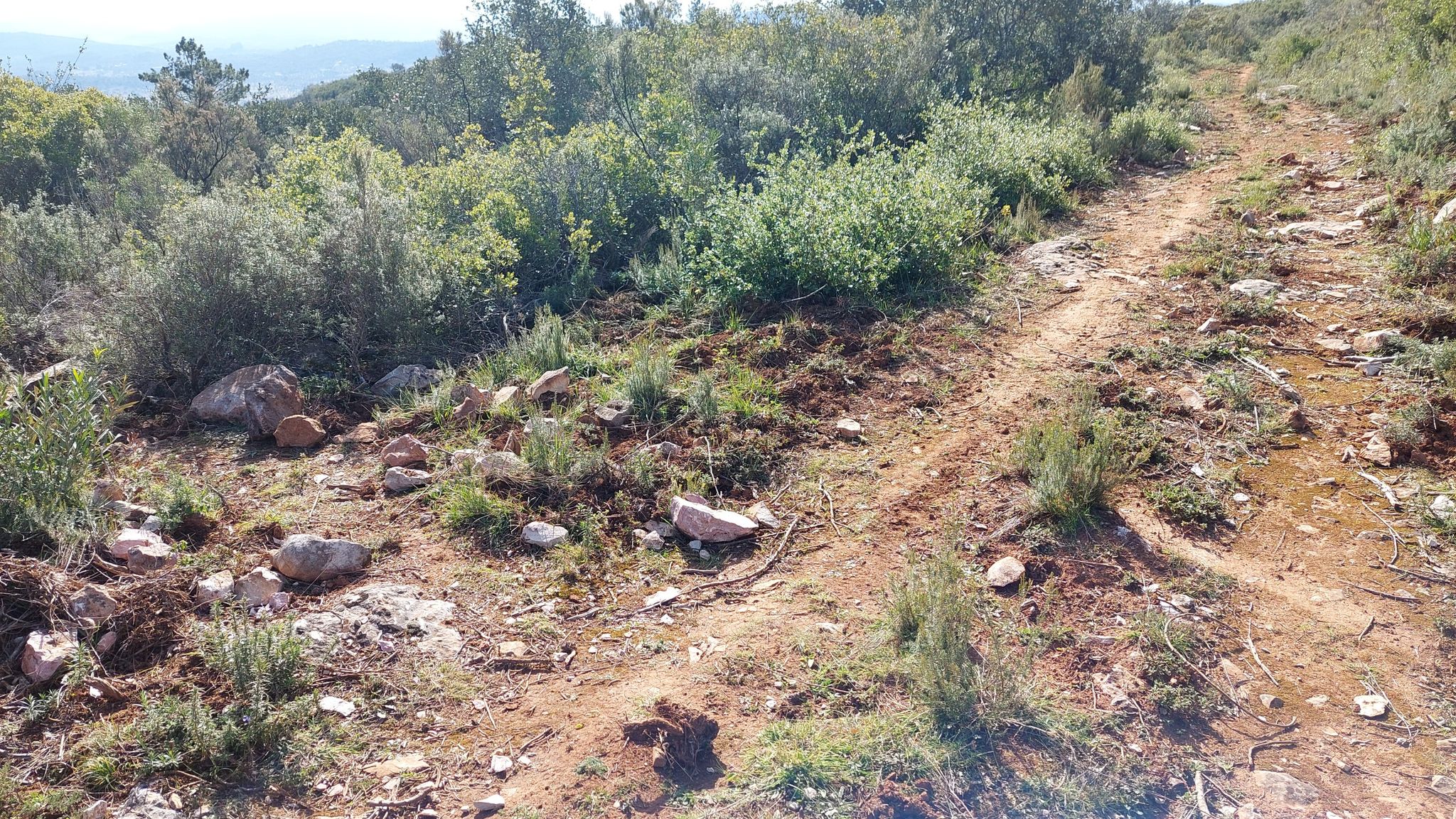 Confluência de trilhos
