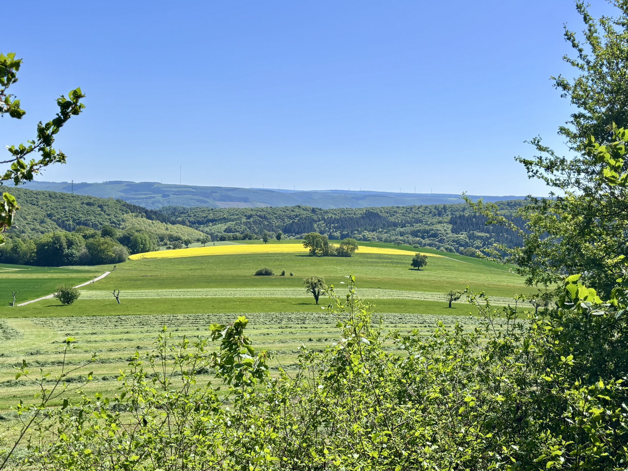Dieser Aussichtspunkt heißt Moorblick und Ja, die Wiese ist gemäht 😳