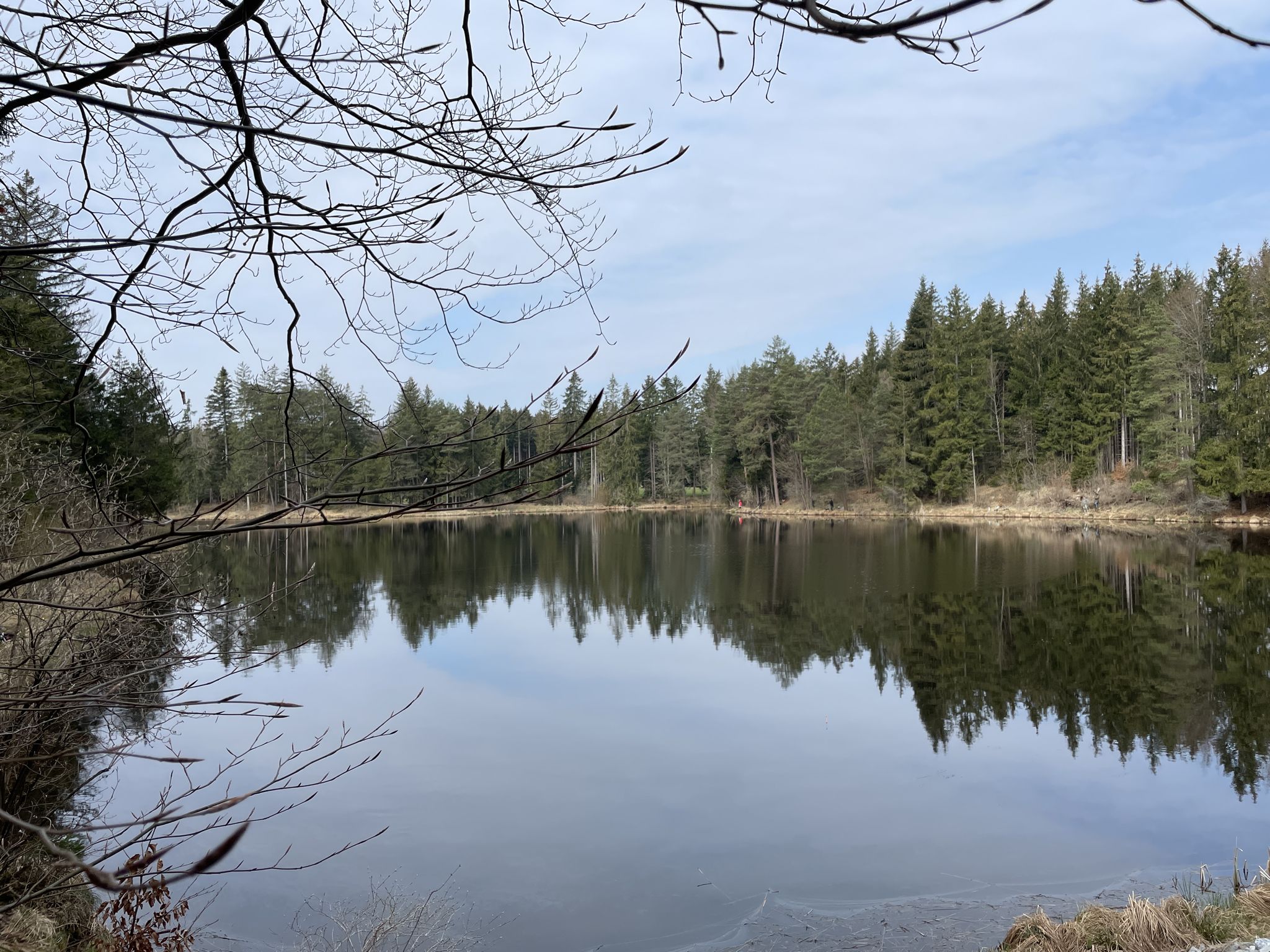Pollinger Weiher