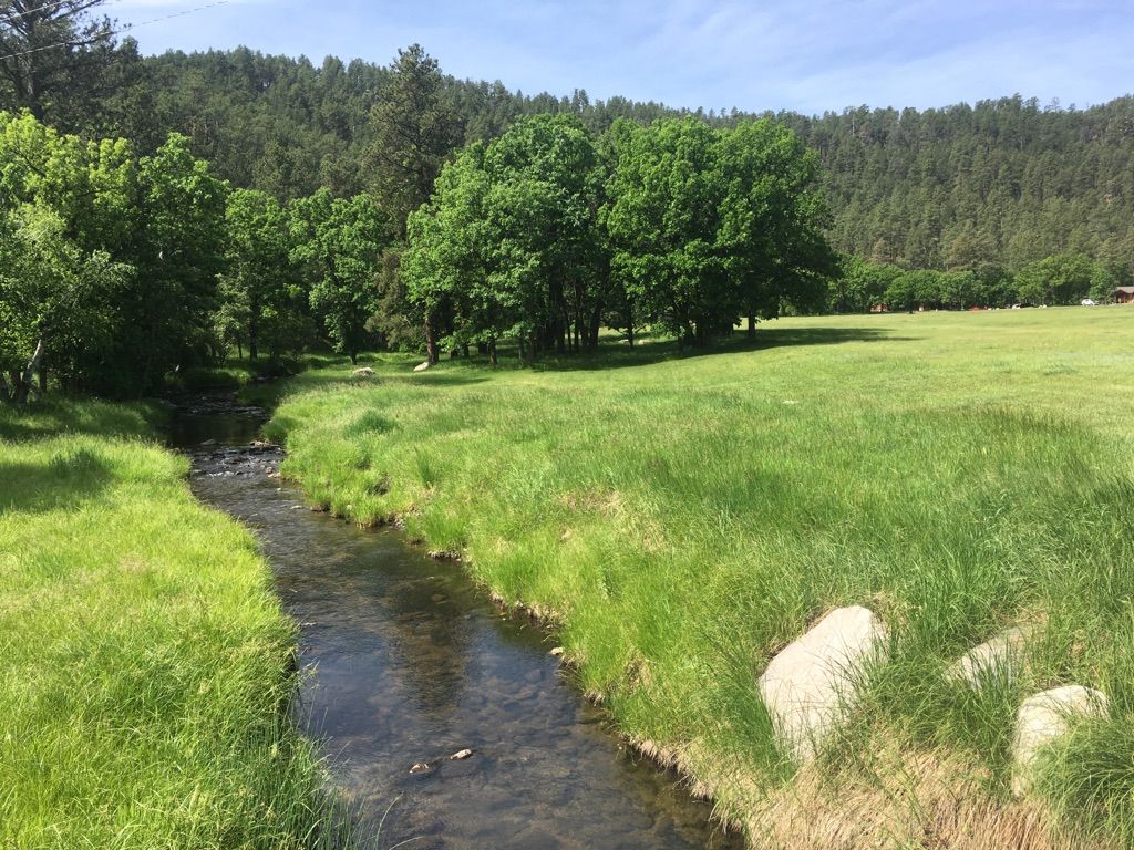 A clear stream flows through a vibrant green meadow under bright sunlight. - Grace Coolidge Creekside Trail