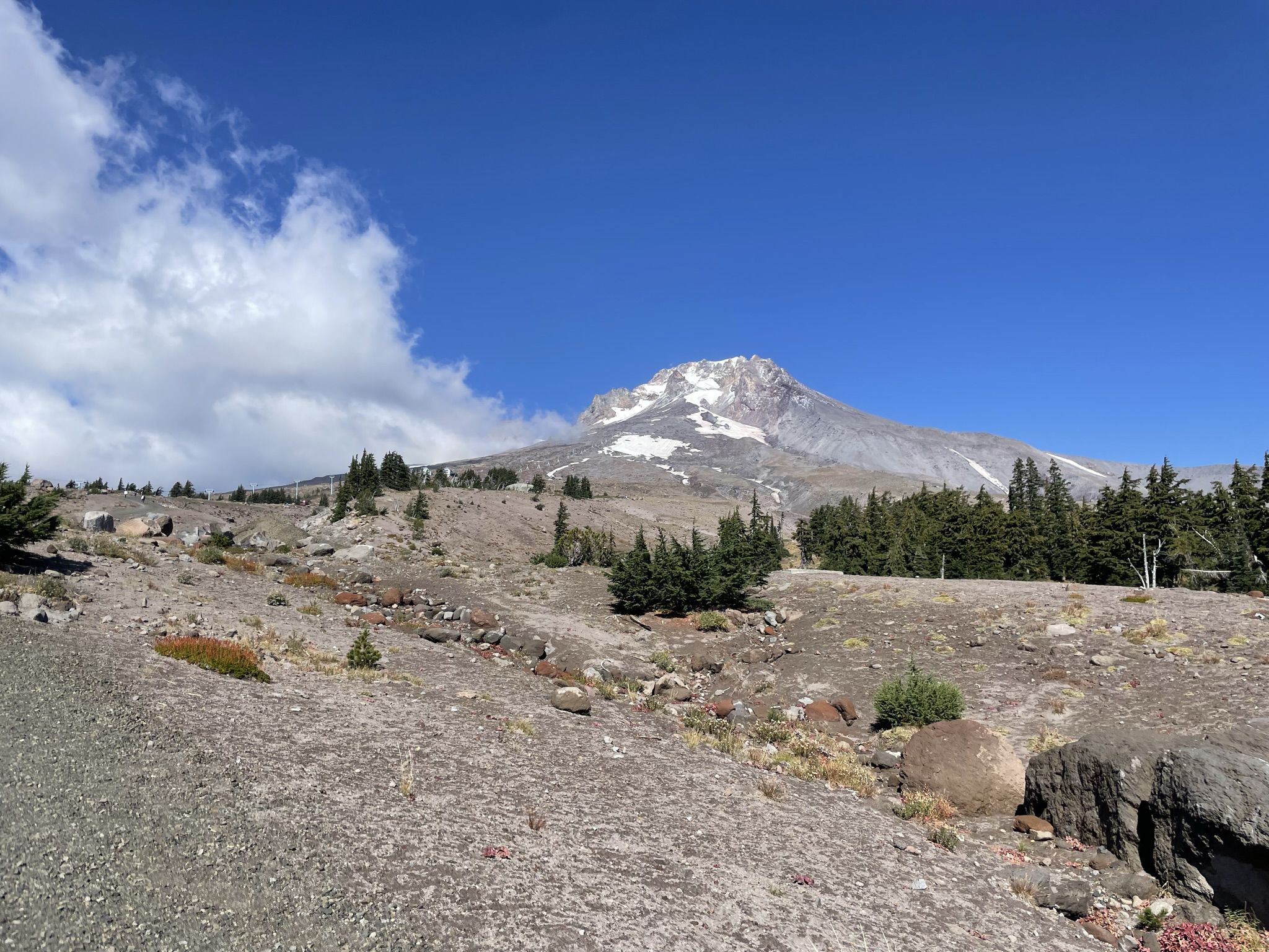 Majestic snow-capped mountain dominates a rocky, treeless landscape under blue sky. - Timberline Lodge – Timberline Trail loop from Timberline Lodge