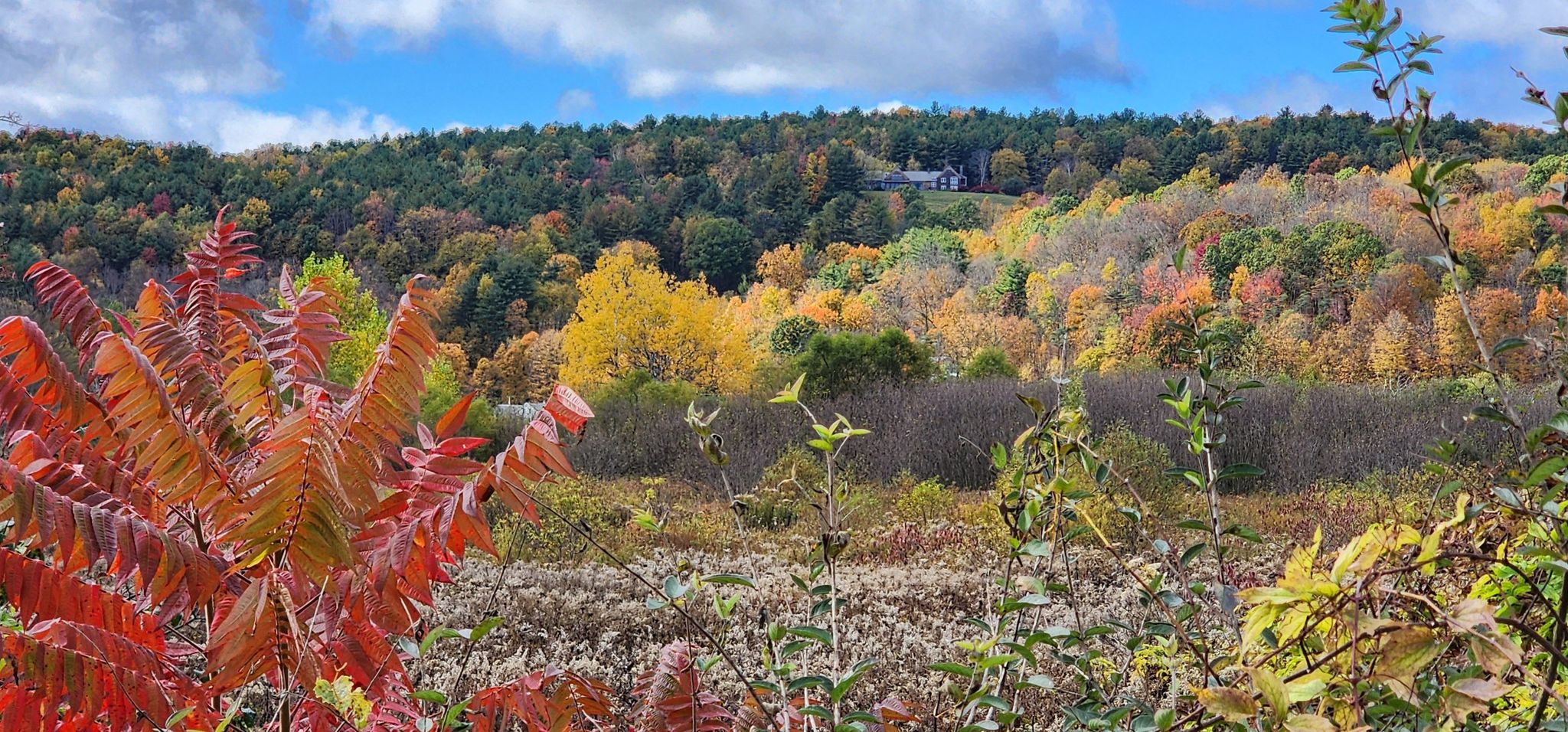 Vibrant autumn foliage covers rolling hills under a bright, cloudy sky. - Delaware & Hudson Rail Trail