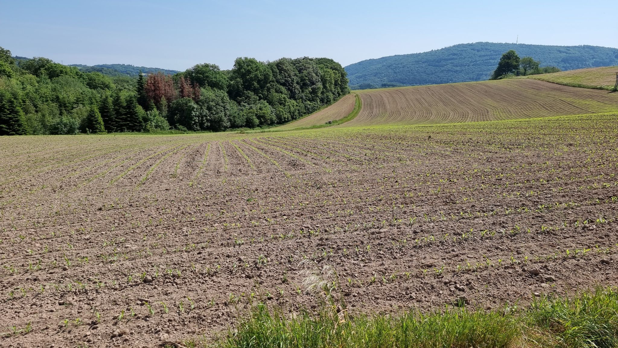 finde den Fehler in der Markierung