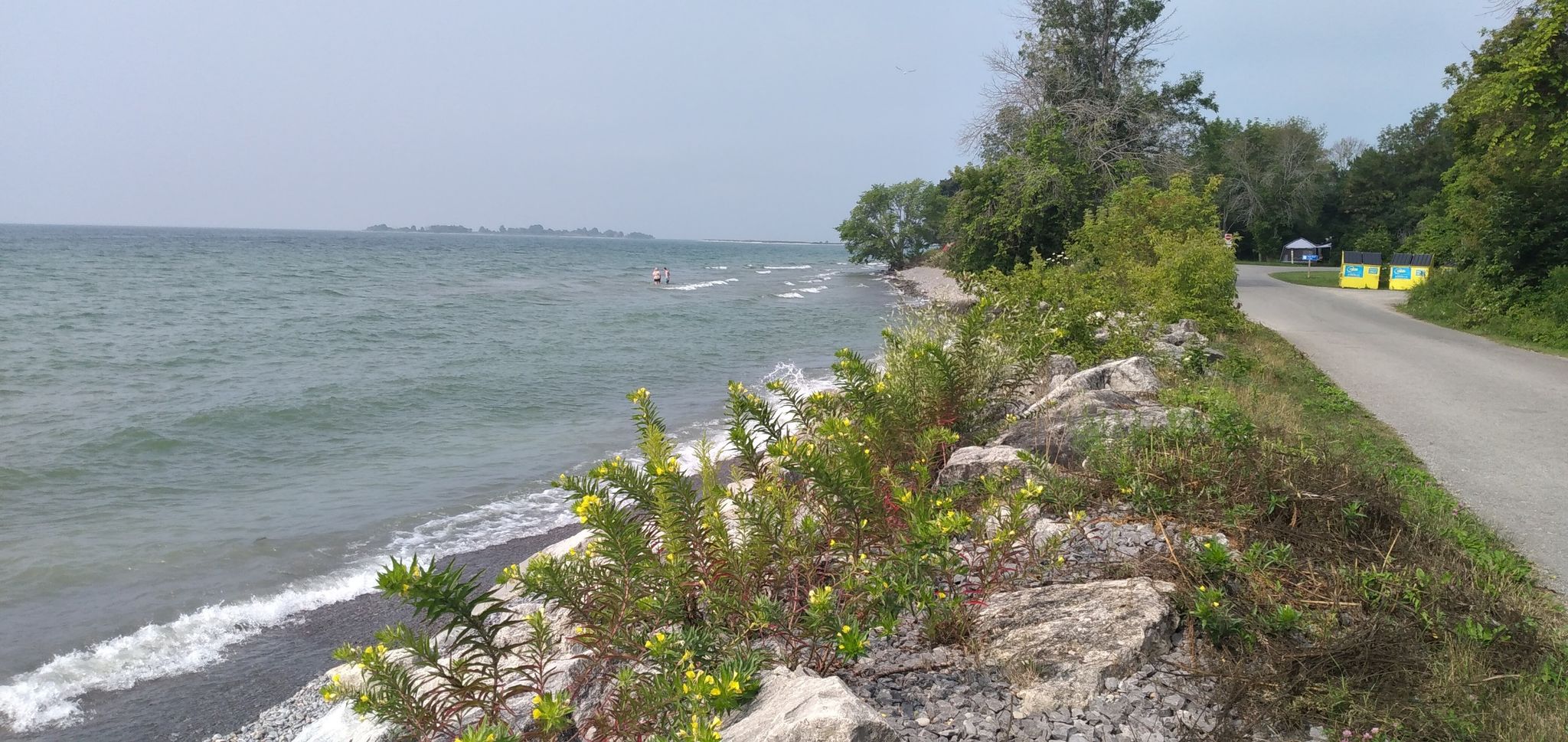 Warm enough for a swim