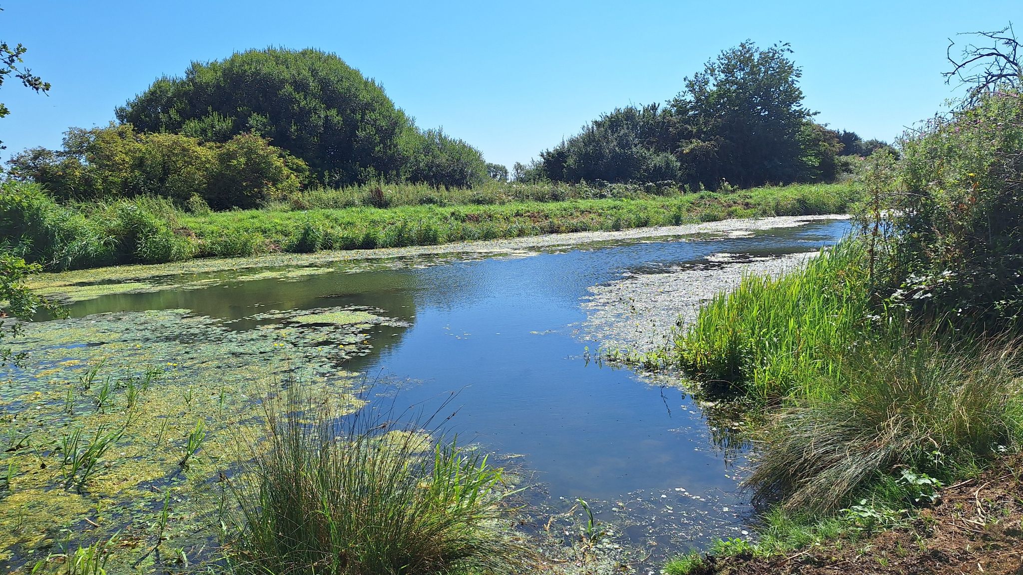 Royal Military Canal