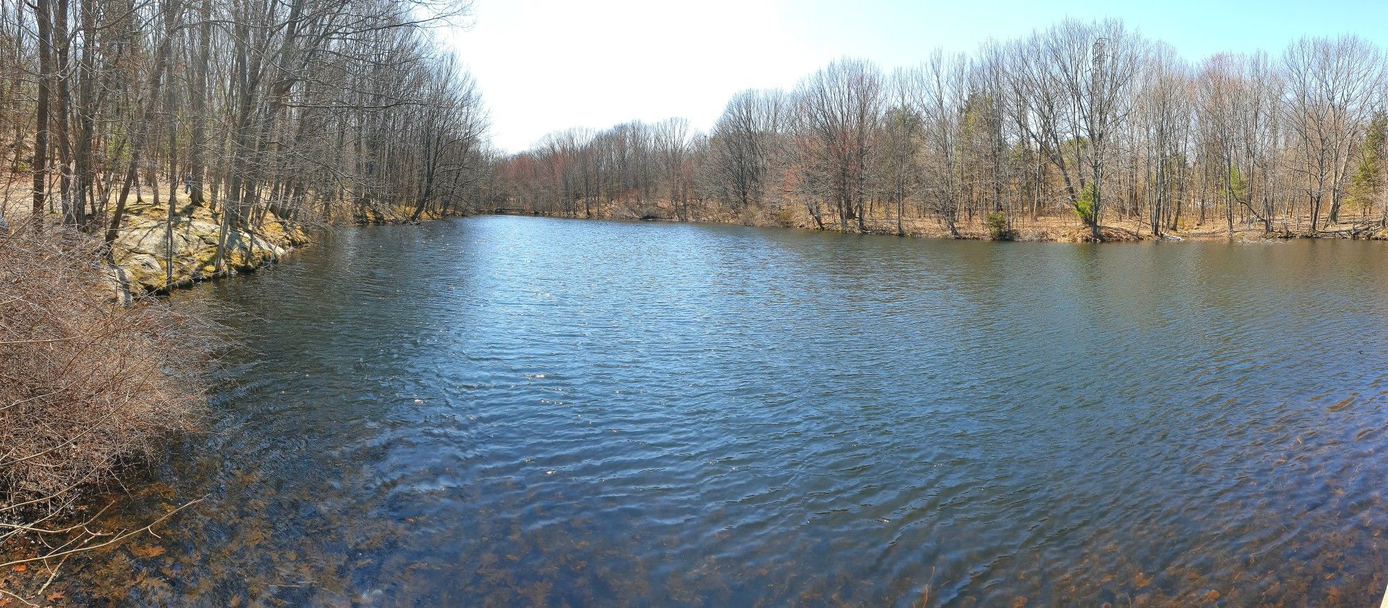 A wide body of water surrounded by bare trees on a sunny day. - Hinckley Park Trail