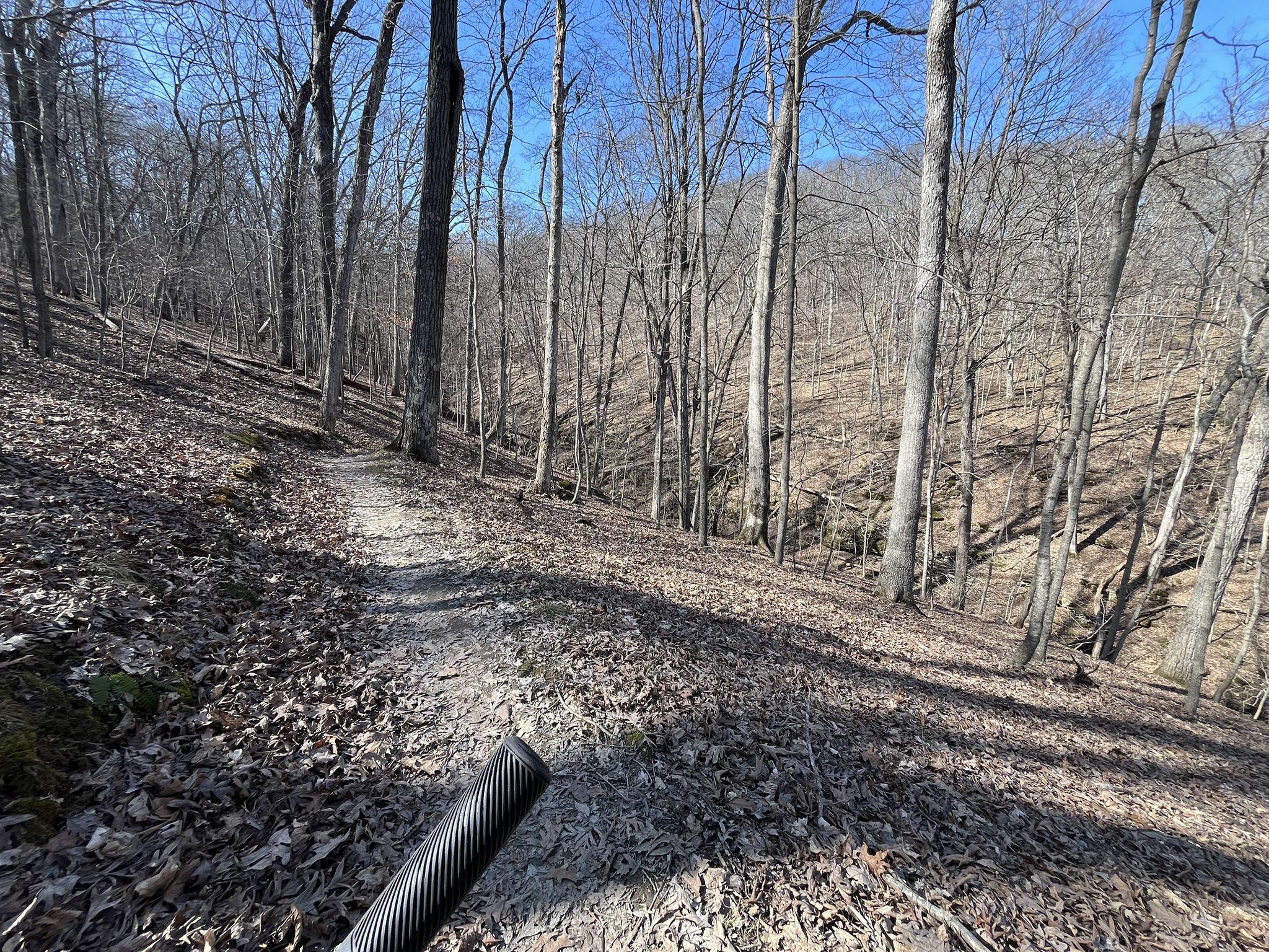 A sunny dirt path through a winter forest with bare trees and fallen leaves. - Rock Hollow Trail – Zombie Trail loop from Glencoe